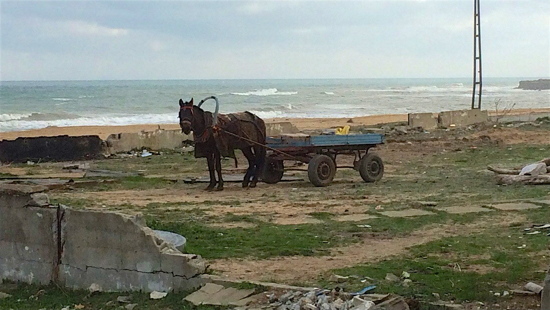 Yeniköy shore: horse and cart in a sad state