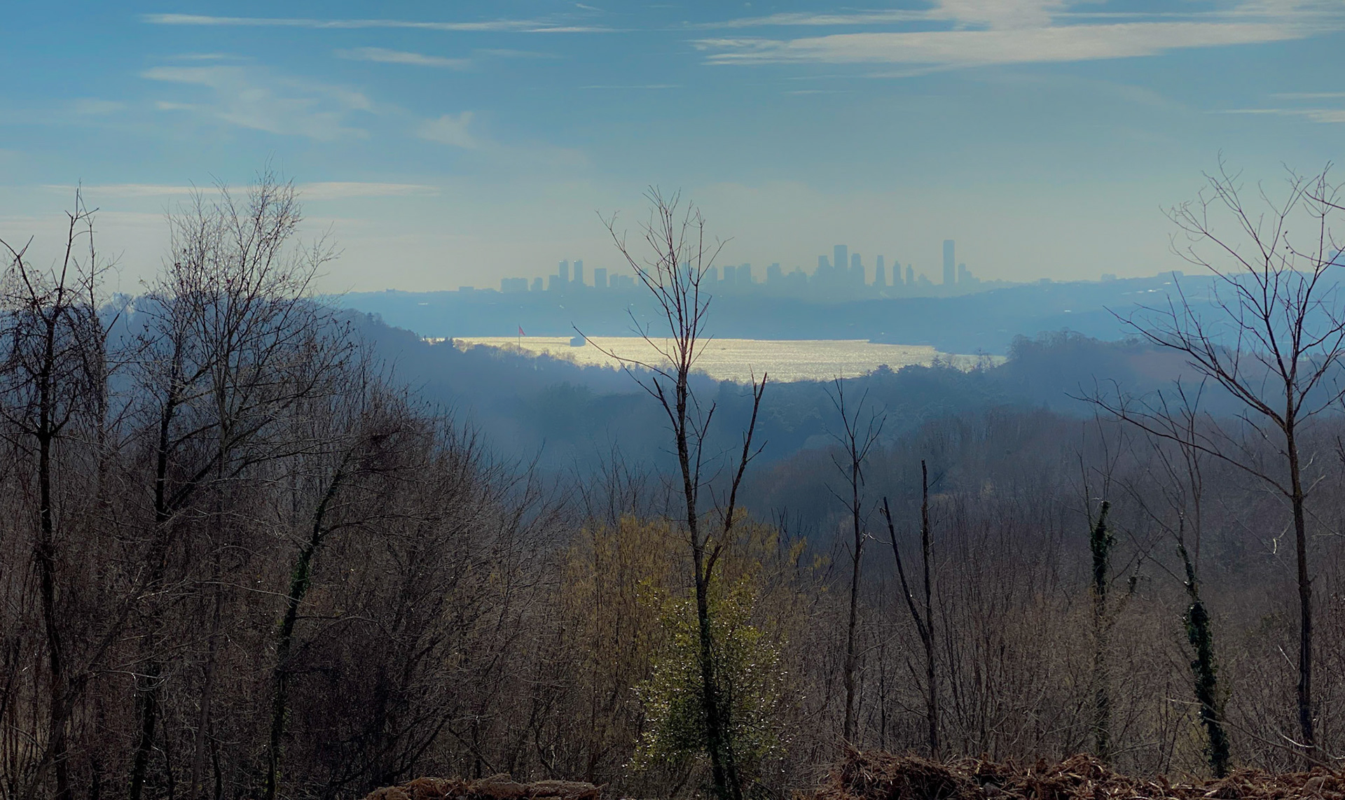 Kaymakdonduran woods: view southwest