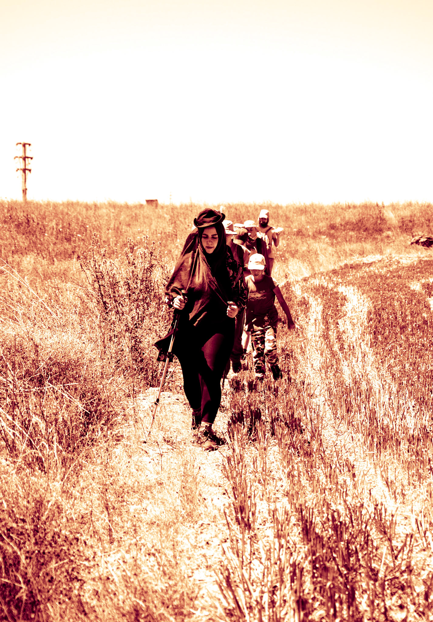 Kurtdoǧmuş fields: walking NE