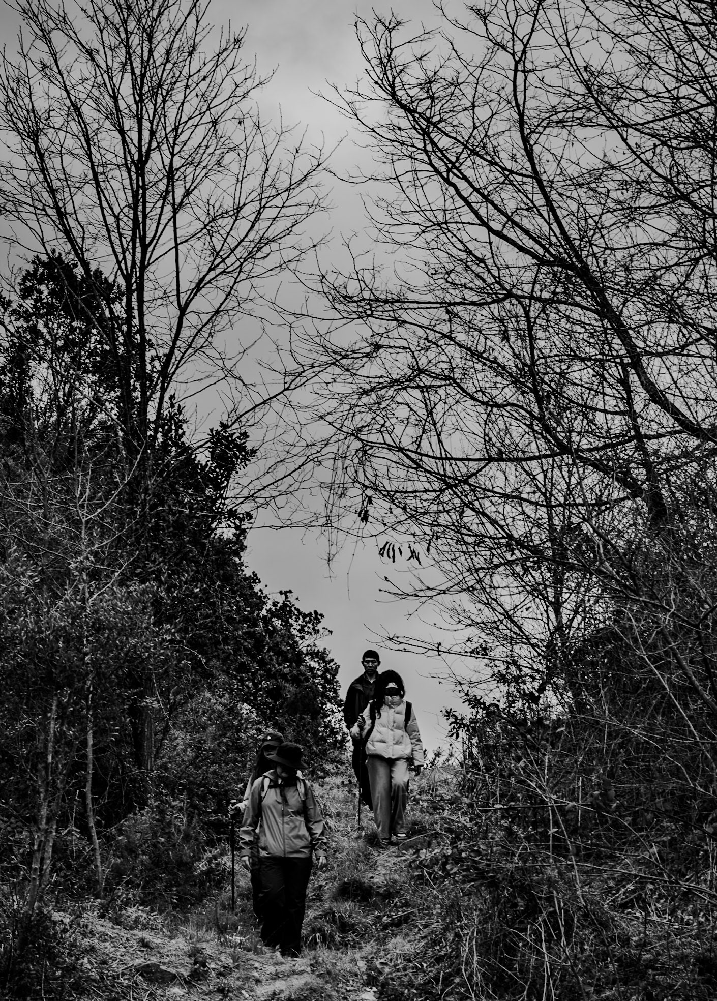 Acaristan wall nature walk: on the path
