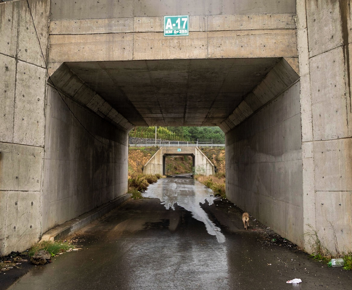heading south from Poyraz: motorway underpasses and day-dog
