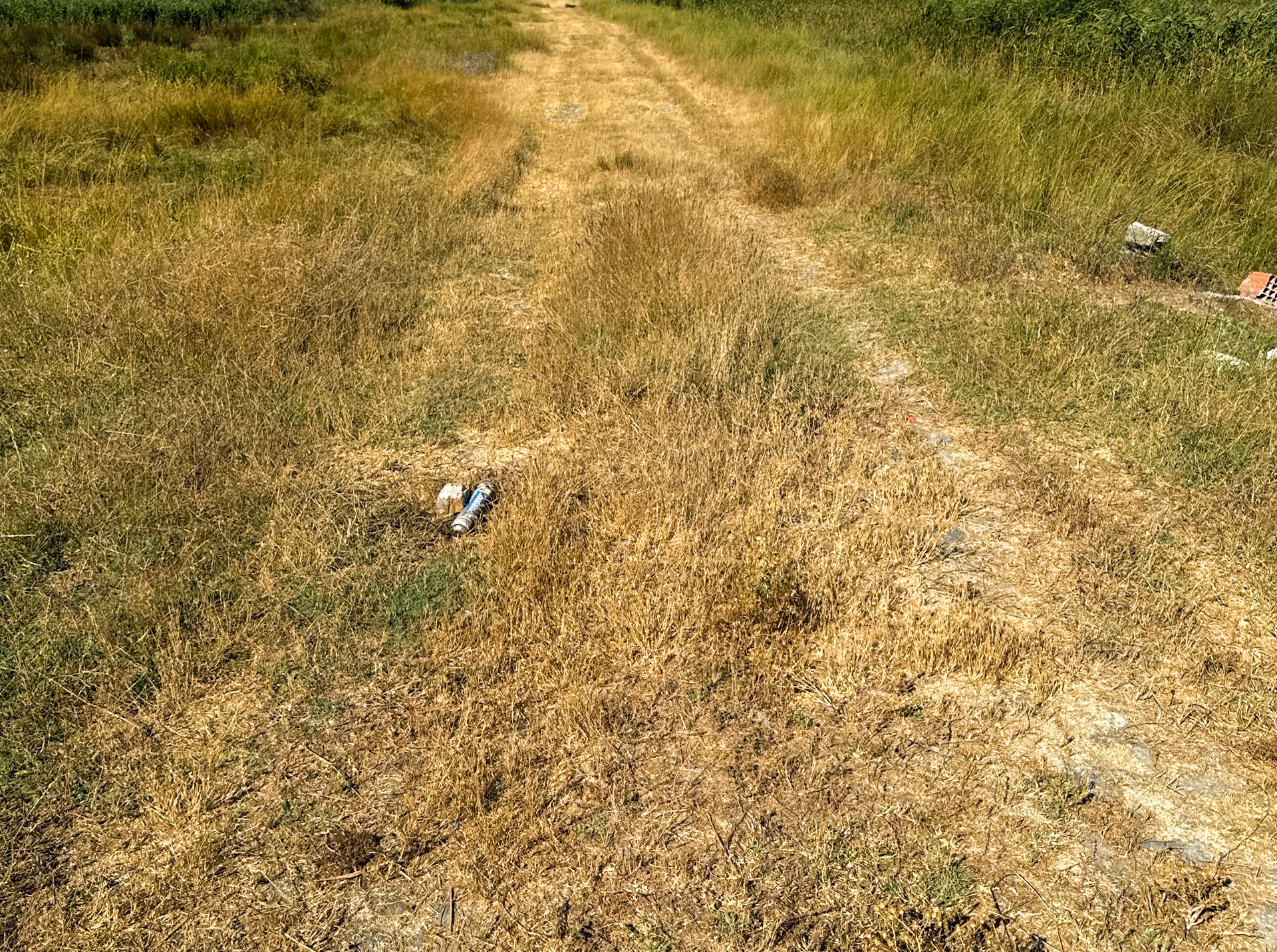 Köseler: the line of the supposed Roman road