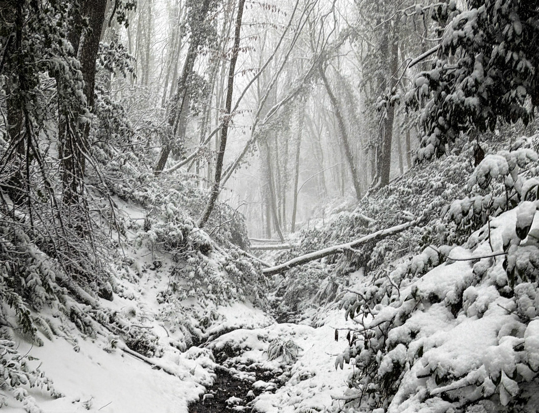 NW Zekeriyaköy streamwalk: it's snowing!