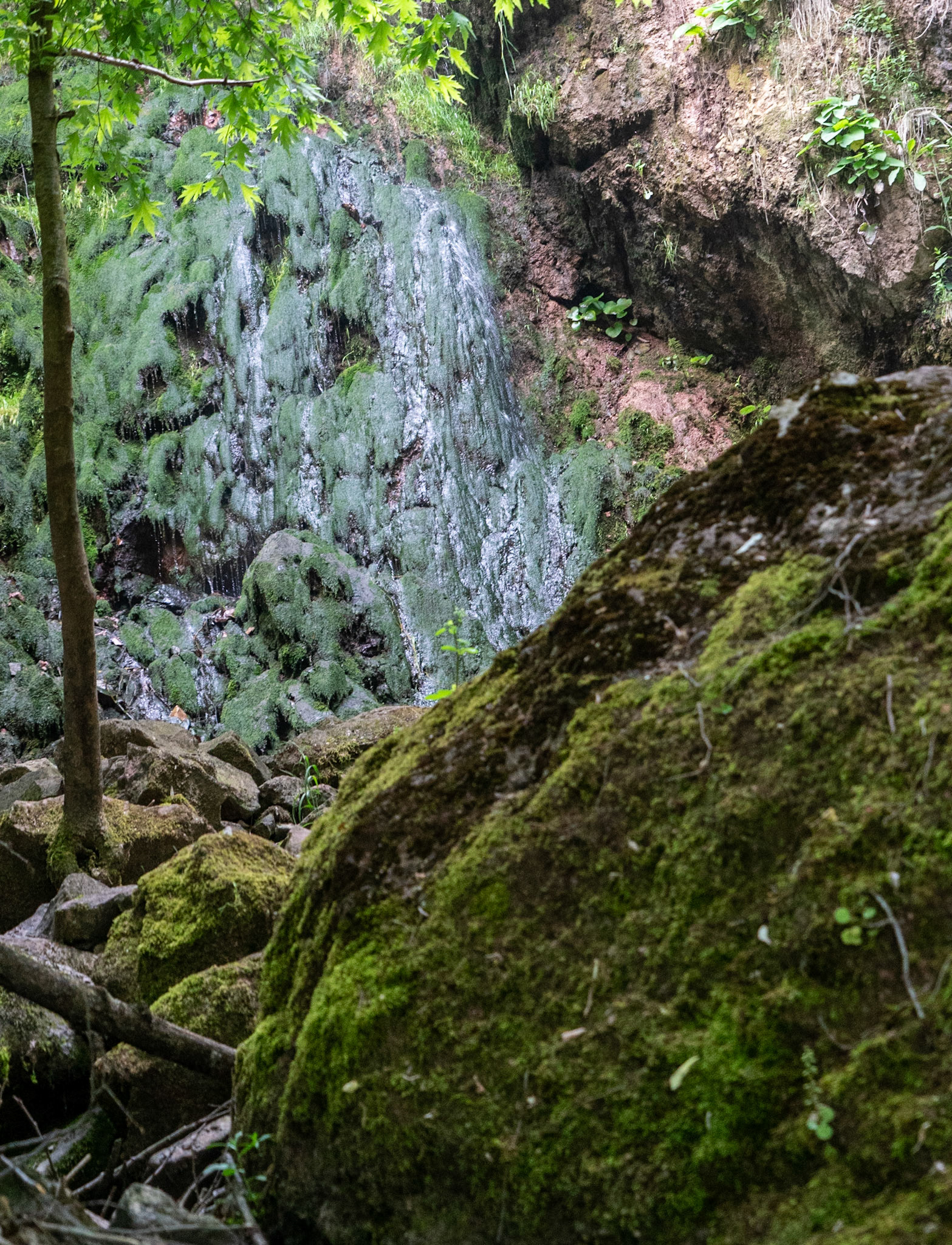 Şarlak waterfall: view