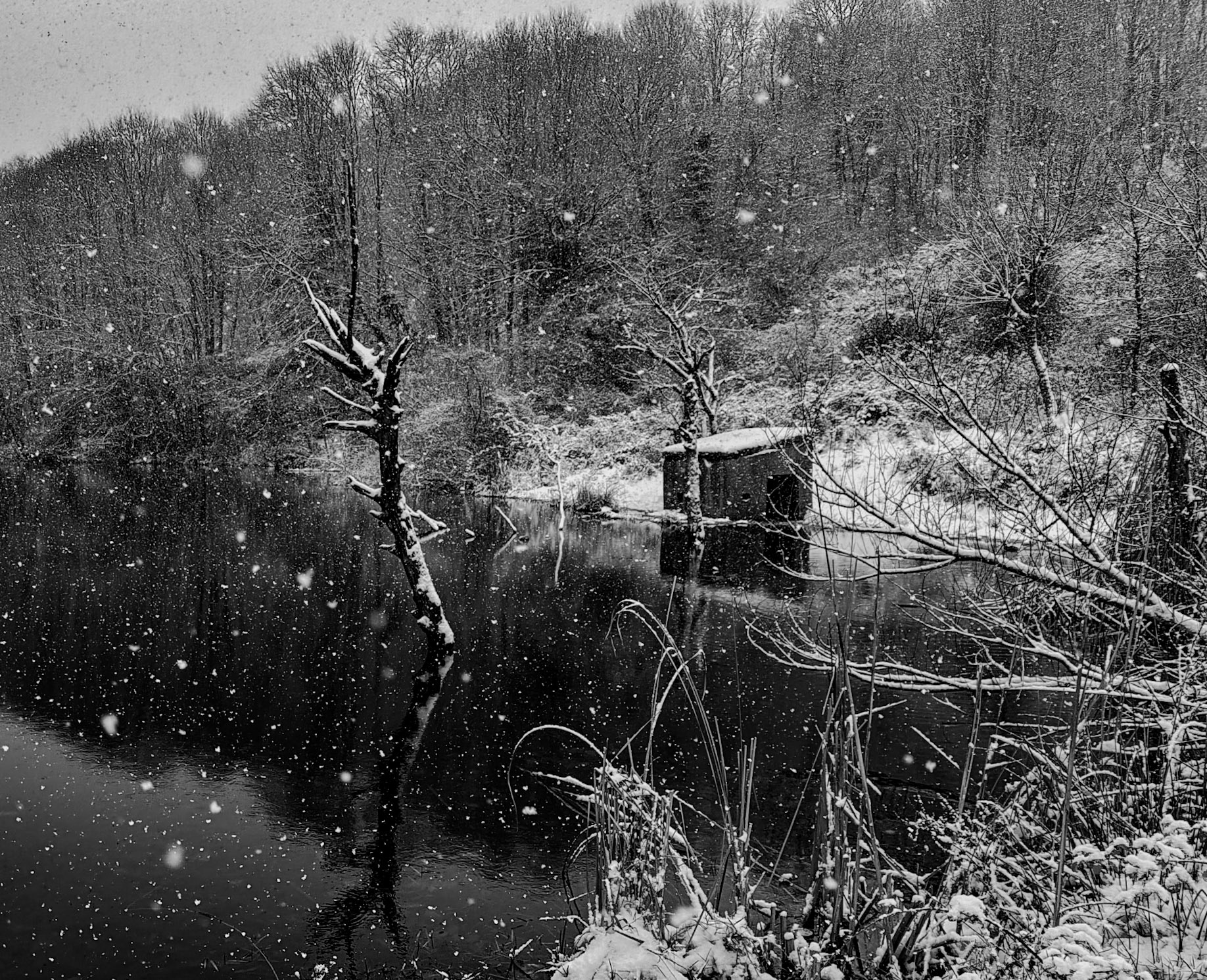 NW Zekeriyaköy pond: it's snowing!
