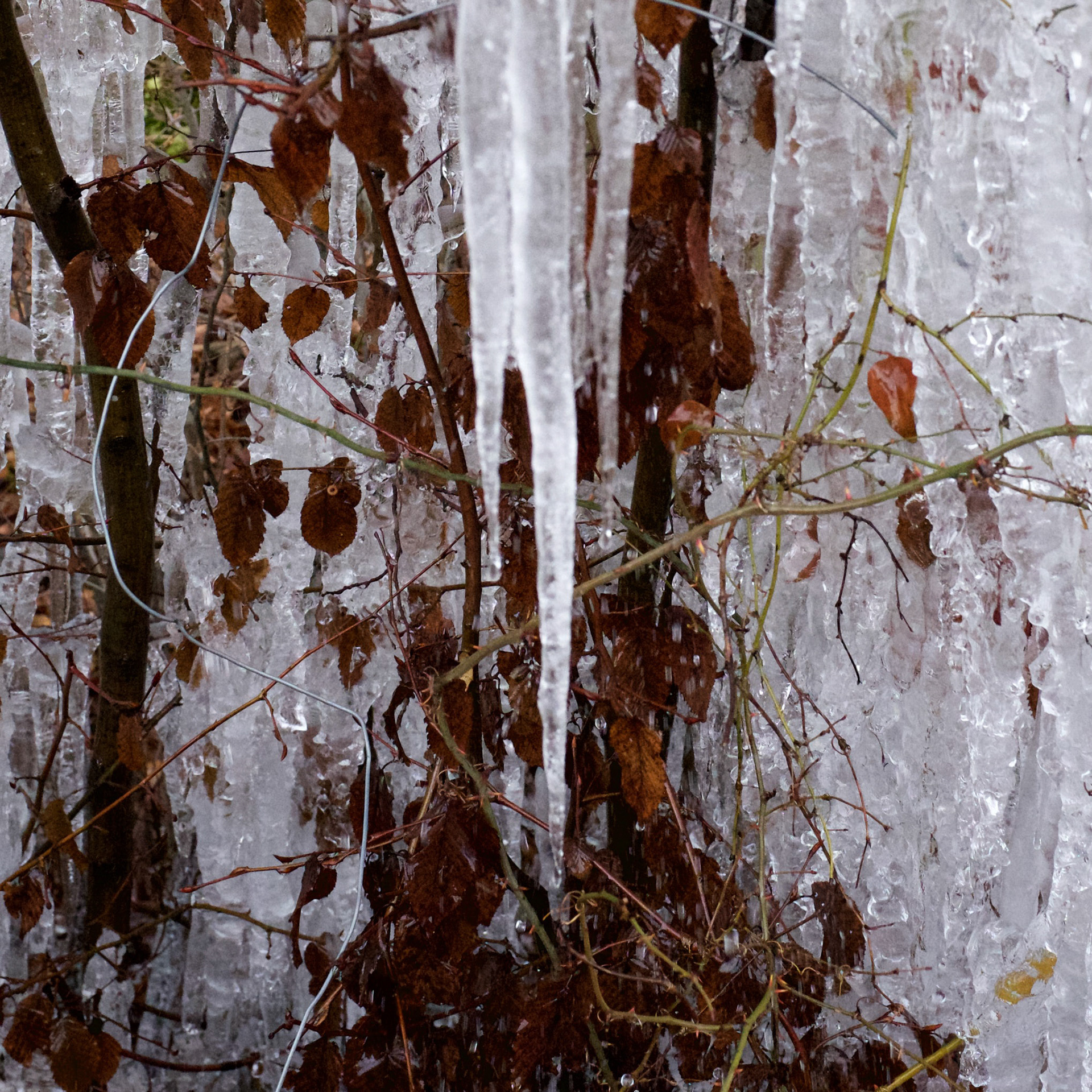 just north of the motorway sliproad north of Alibahadır: ice at a water pipe