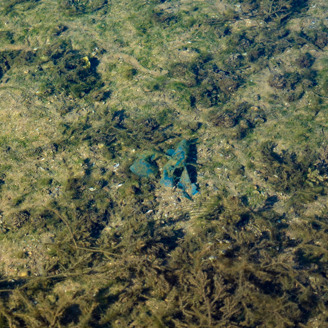 Ömerli reservoir: submerged plastic
