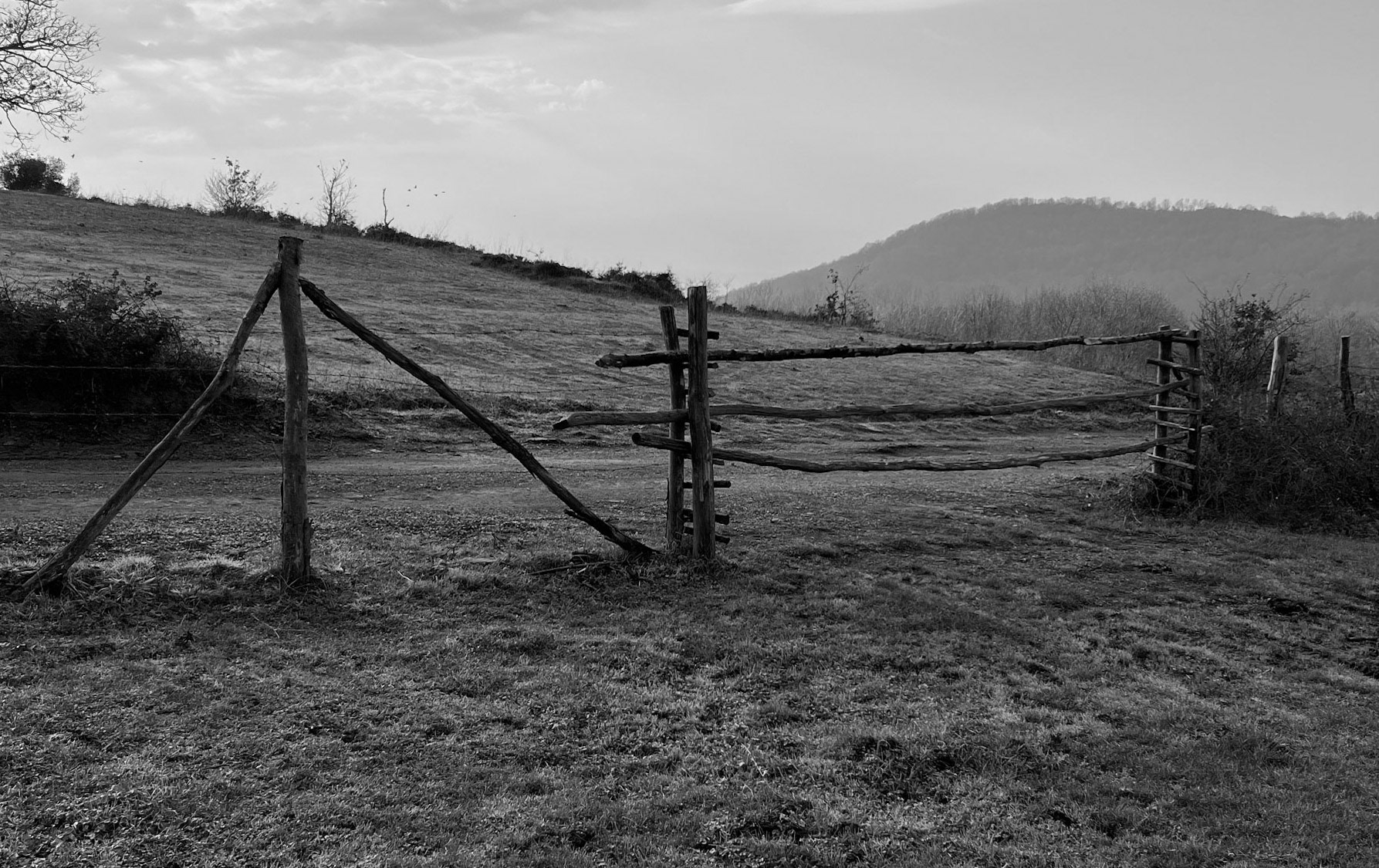 Bozhane S hill: meadow gate