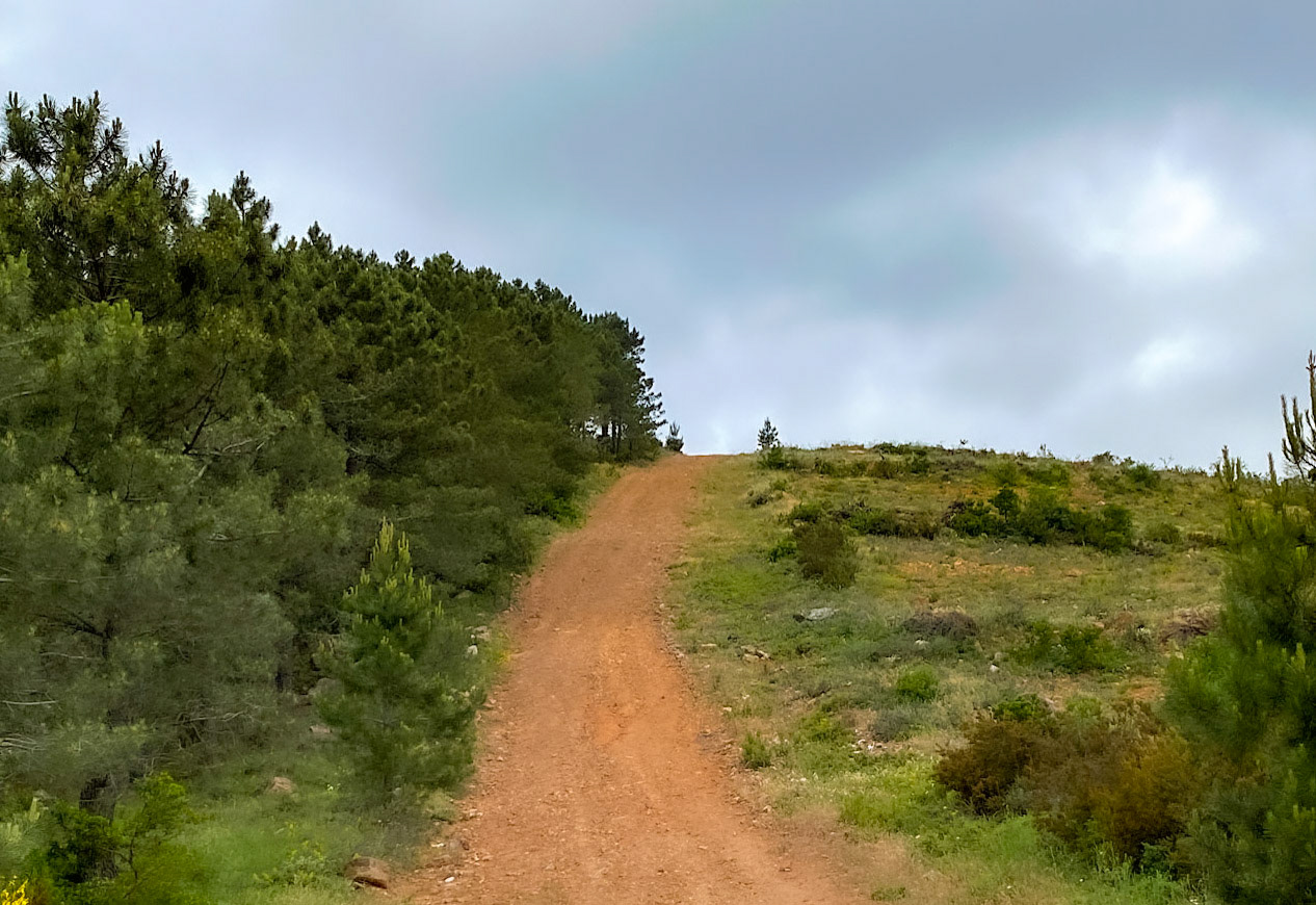 Adadaǧ hills: firebreak