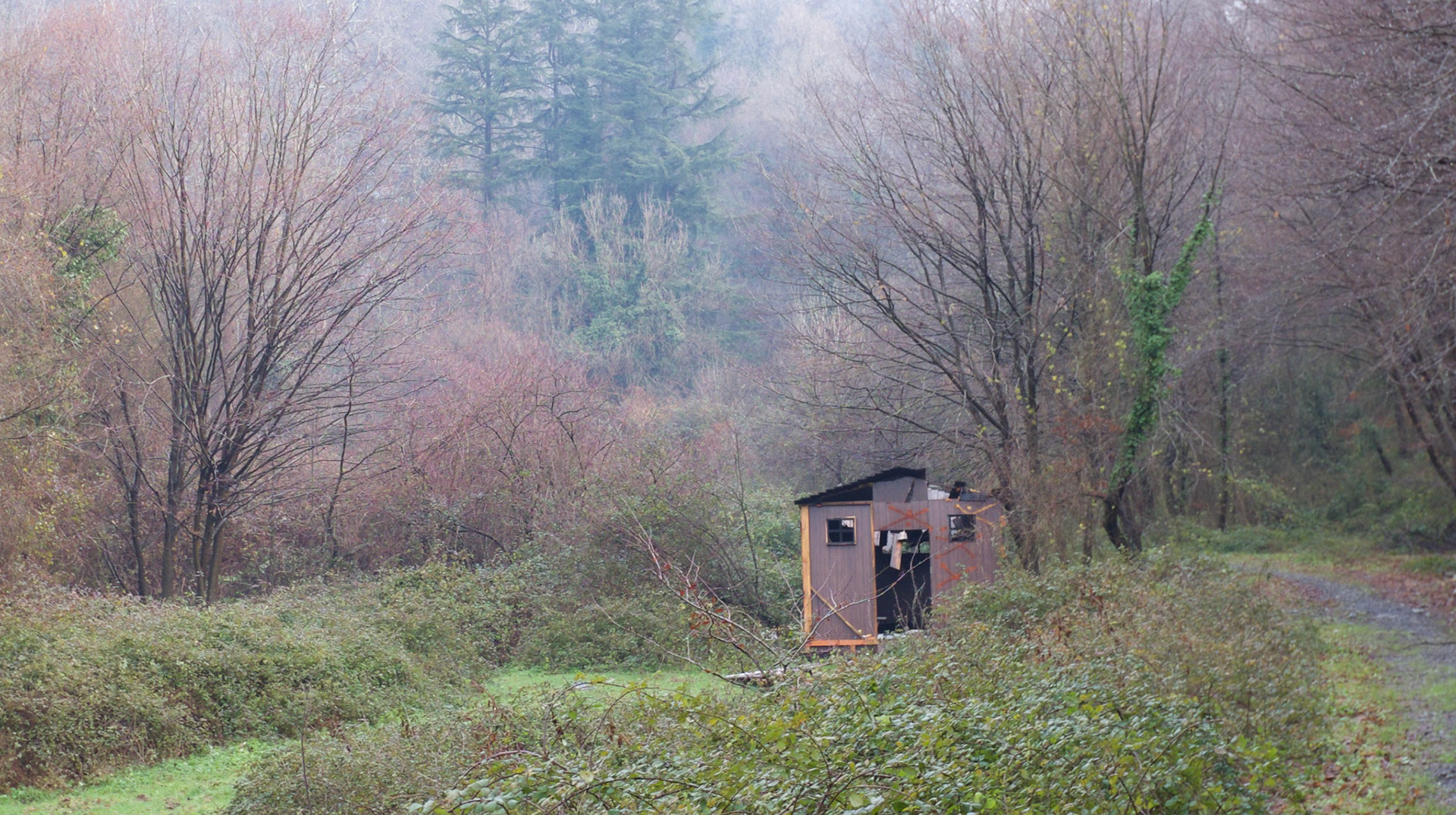a hut and woodland heading E towards the Ottoman stables