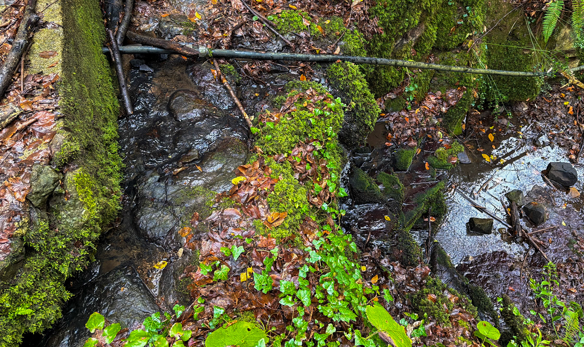 Ayhan Şahenk double stream walk: green ledges