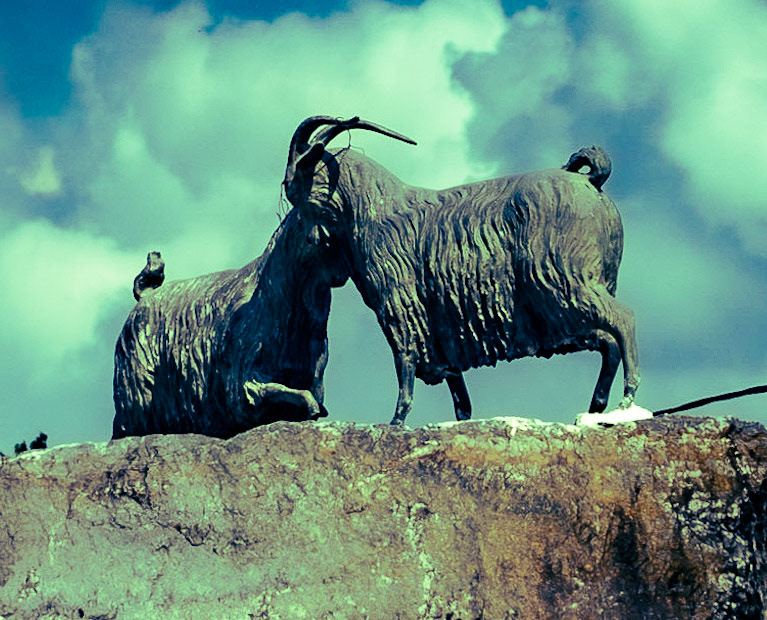 Ömerliköy: two rams