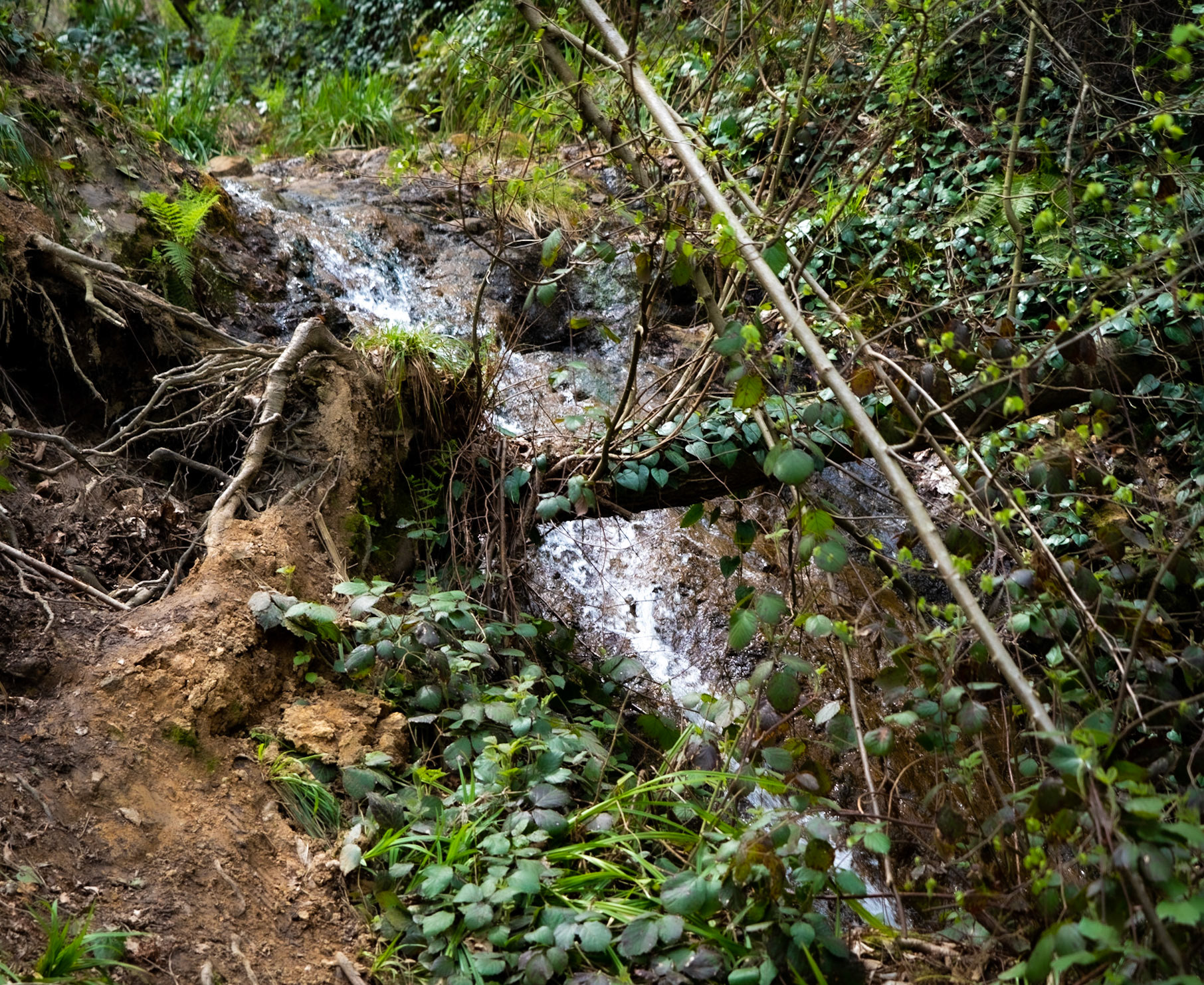 Deǧirmen’s western tributary stream valley: a small waterfall
