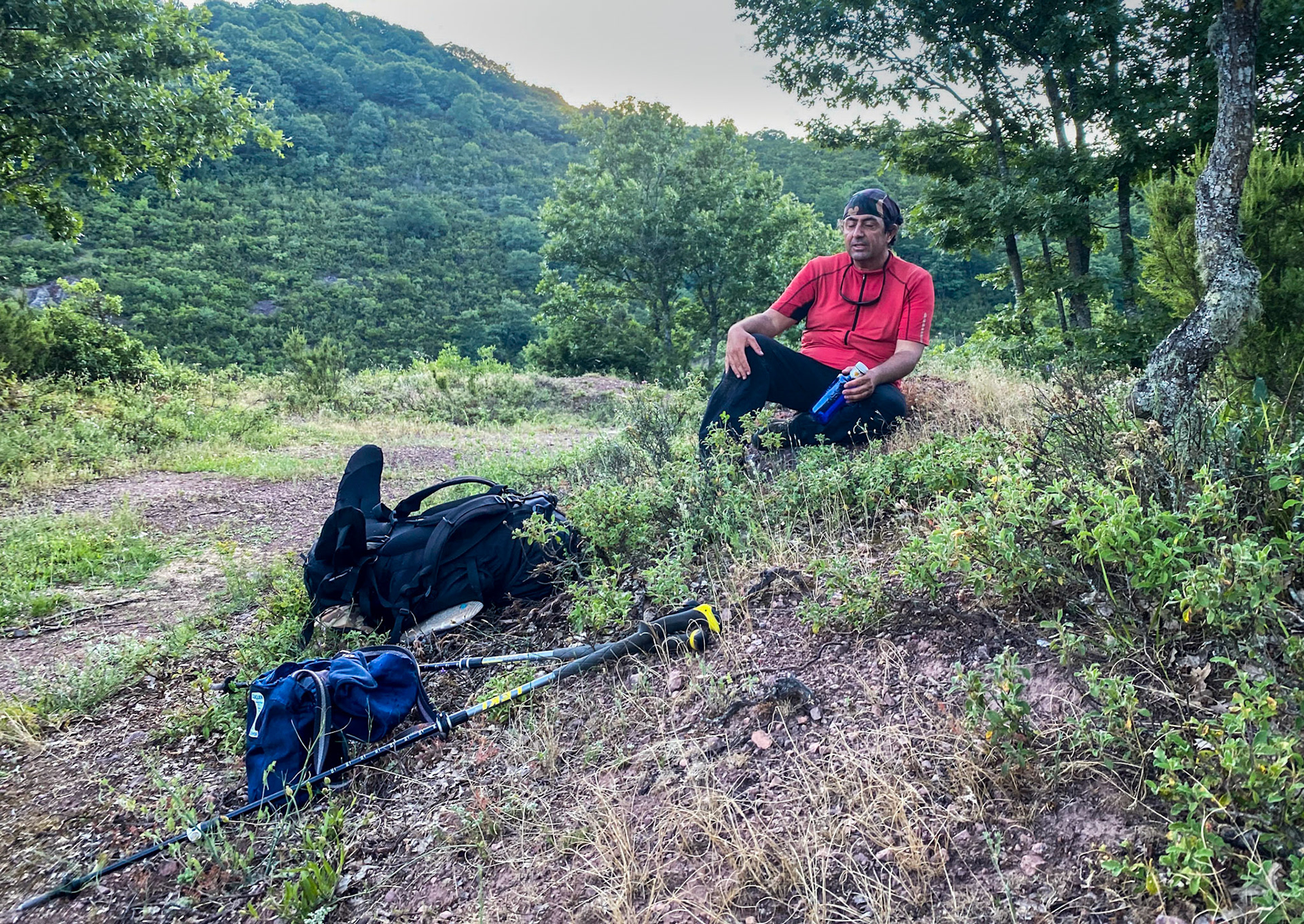 Kargalı northwestern forest: becoming tireder