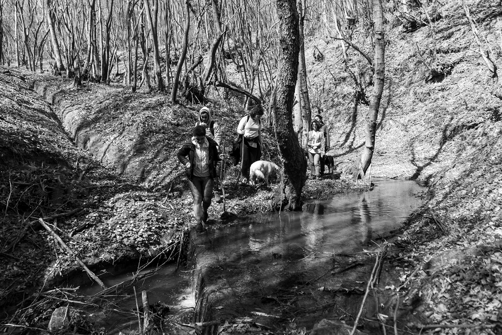 Zerzevat stream valley: crossing a small weir