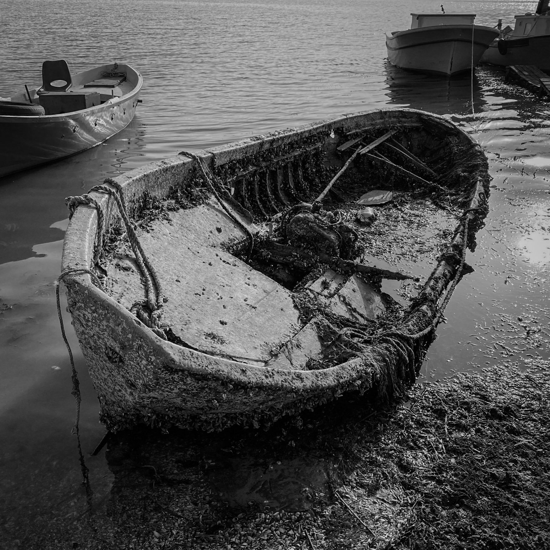 Trikos mudflats: half-sunken boat