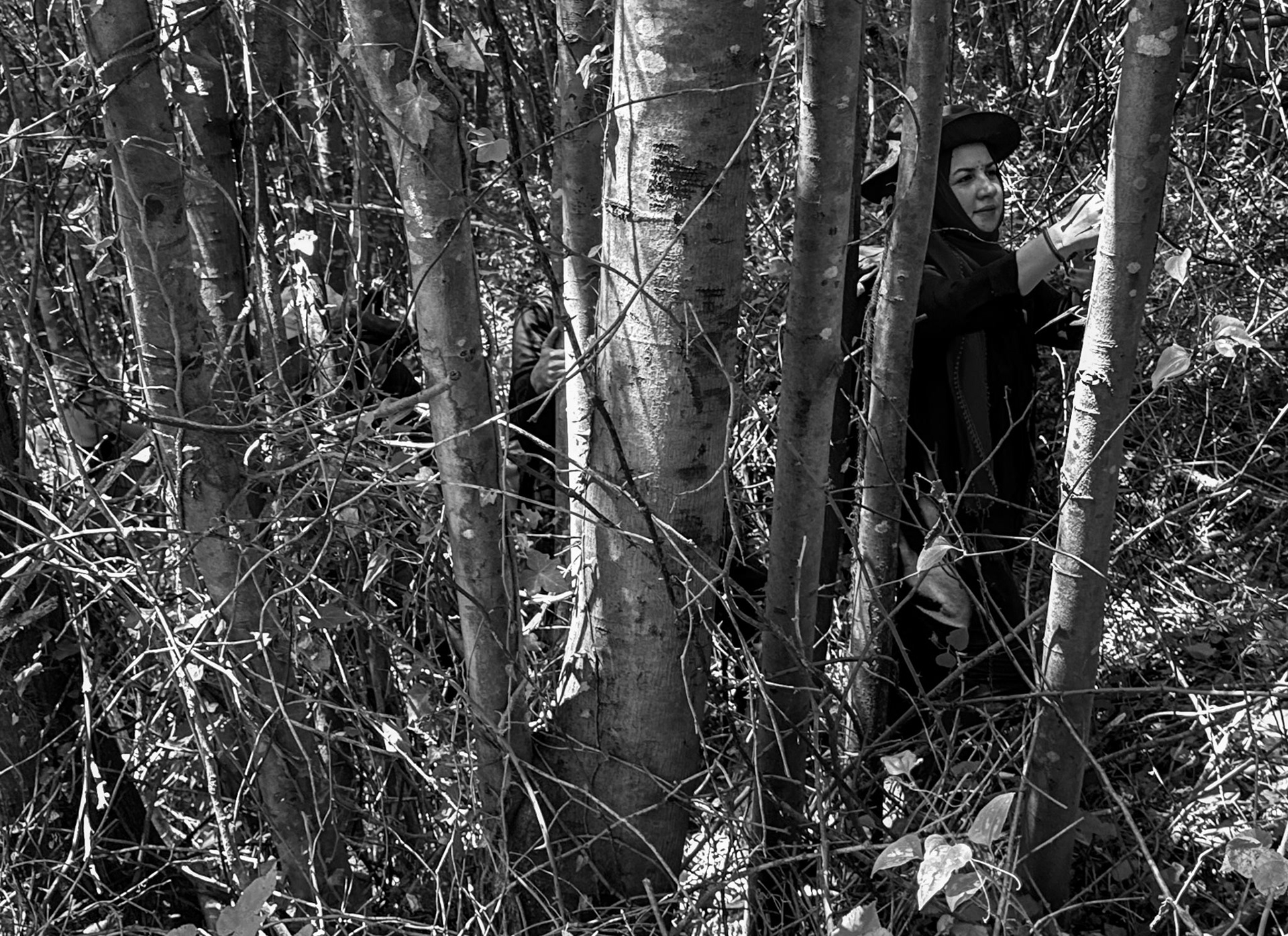 Kılıçlı southeastern stream walk: making our way through a thicket