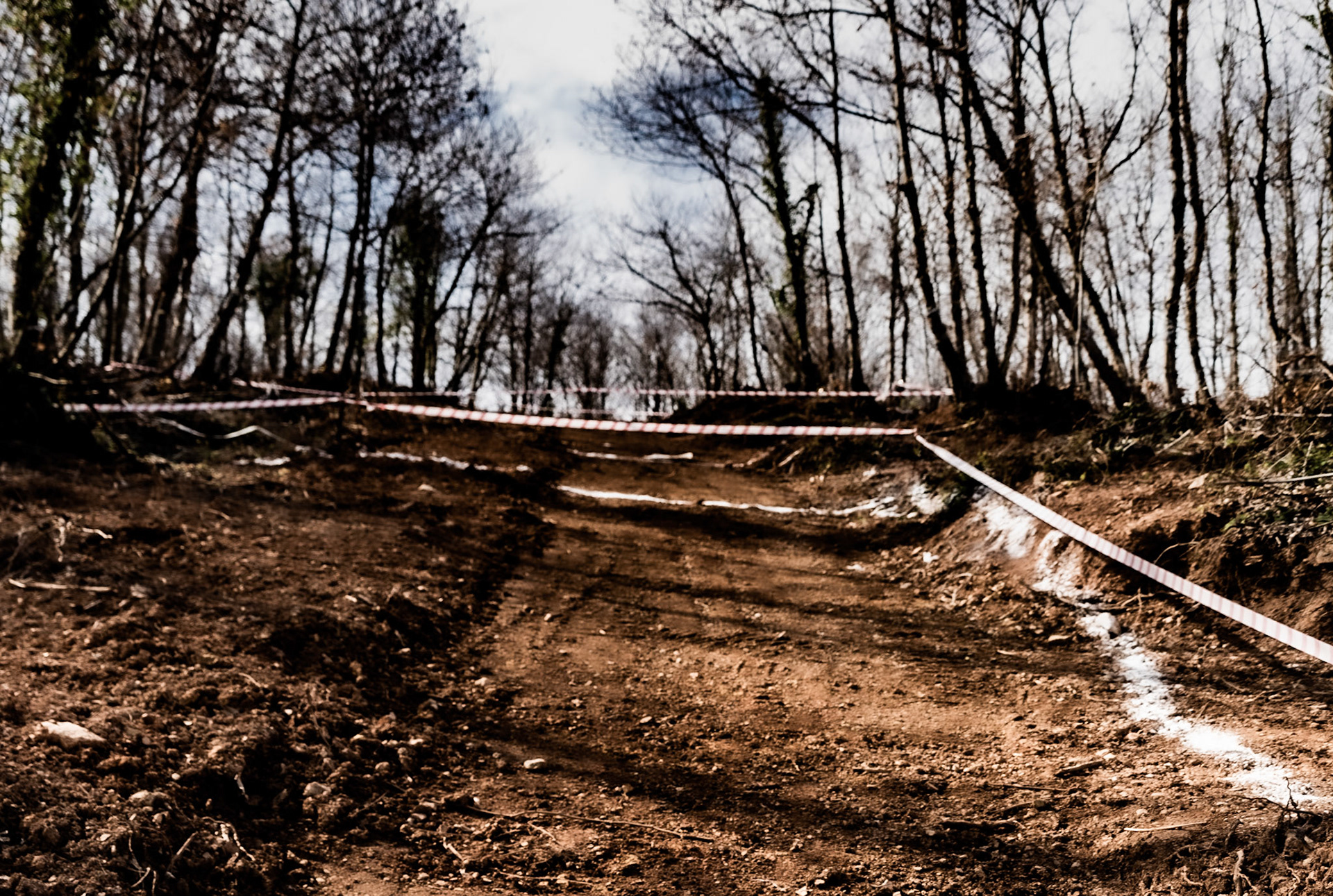 Kaymakdonduran woods: recently demarcated and cleared land