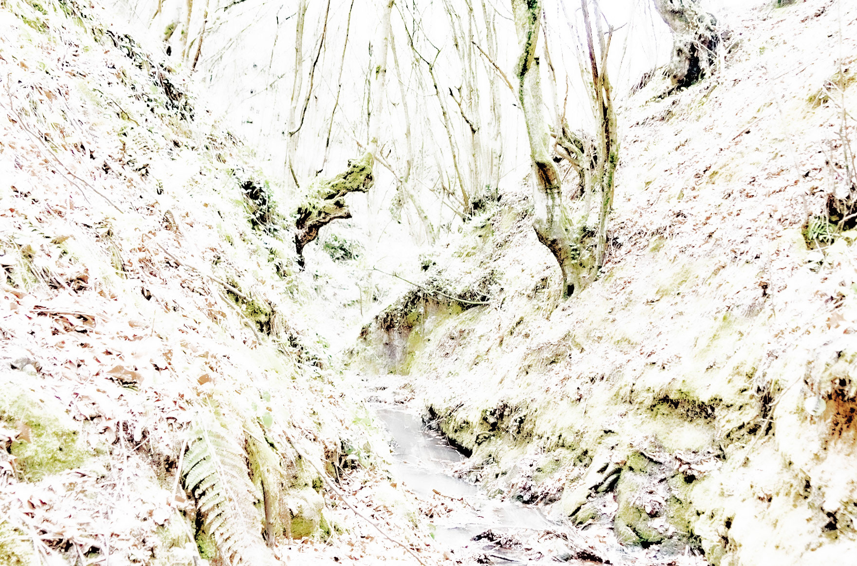 Kozlu stream valley: the stream