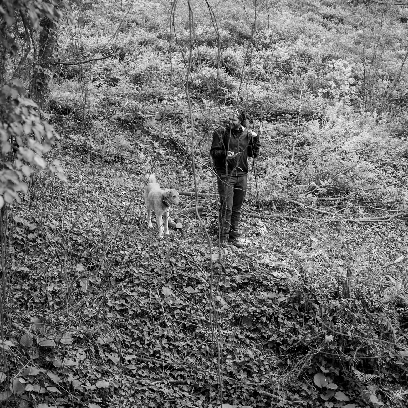 between Kılıçlı Köyü and İshaklıköy: hiker and day-dog