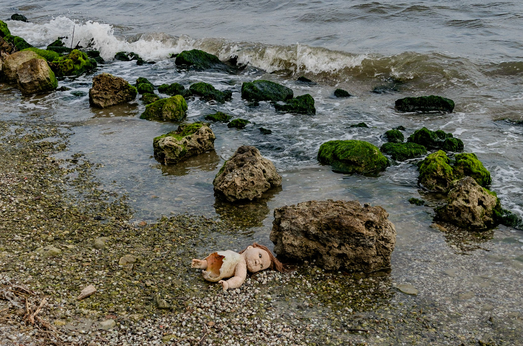 on the southwestern edge of Küçükçekmece lake on Istanbul University Agricultural Faculty's land: an echo of Aylan Kurdi's tragedy - 3 years later