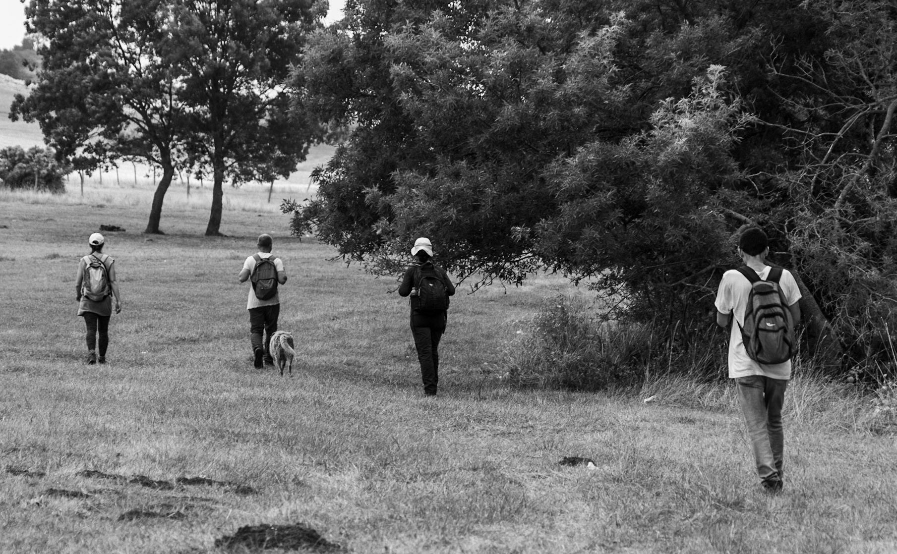 Sazlıdere southern flower meadow: walking south