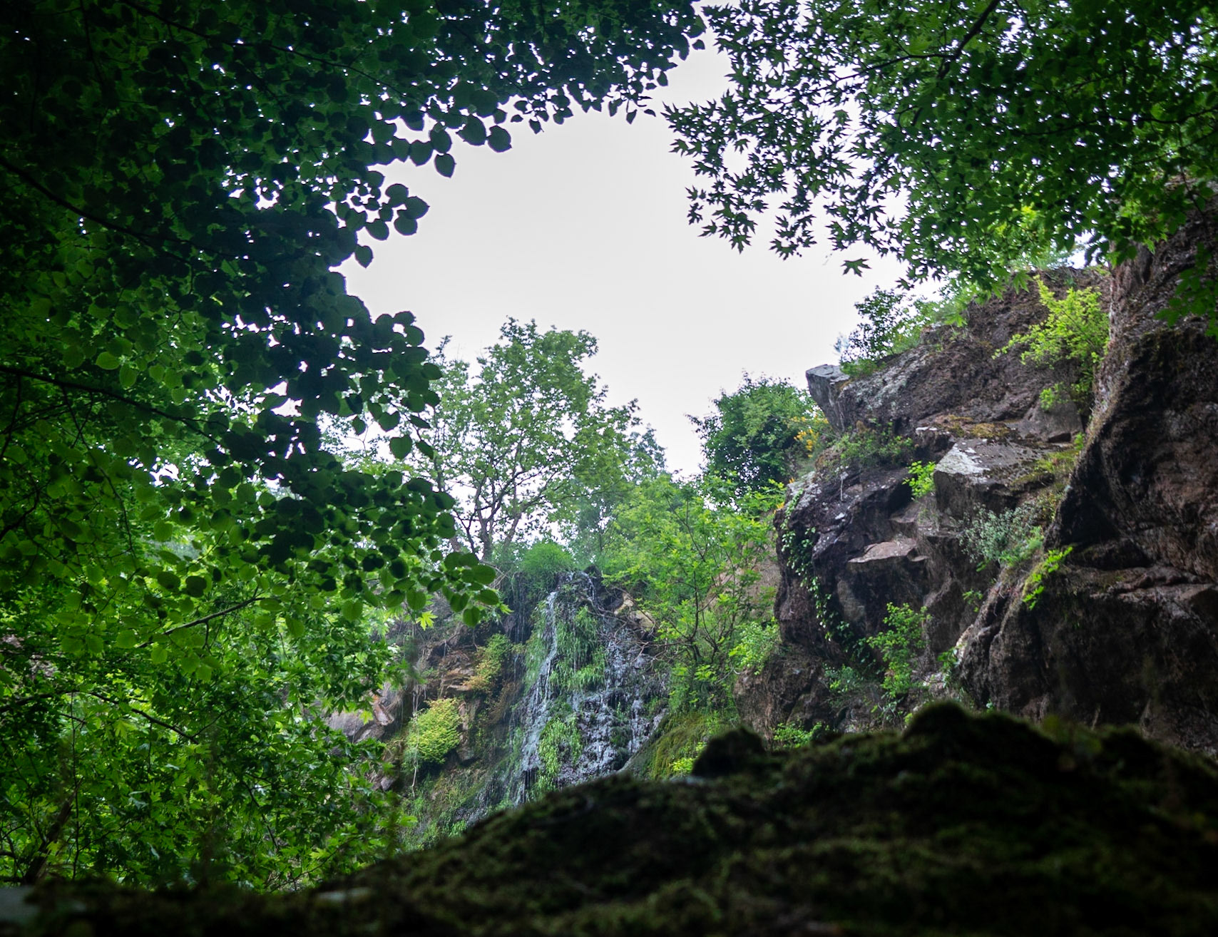 Şarlak waterfall: view