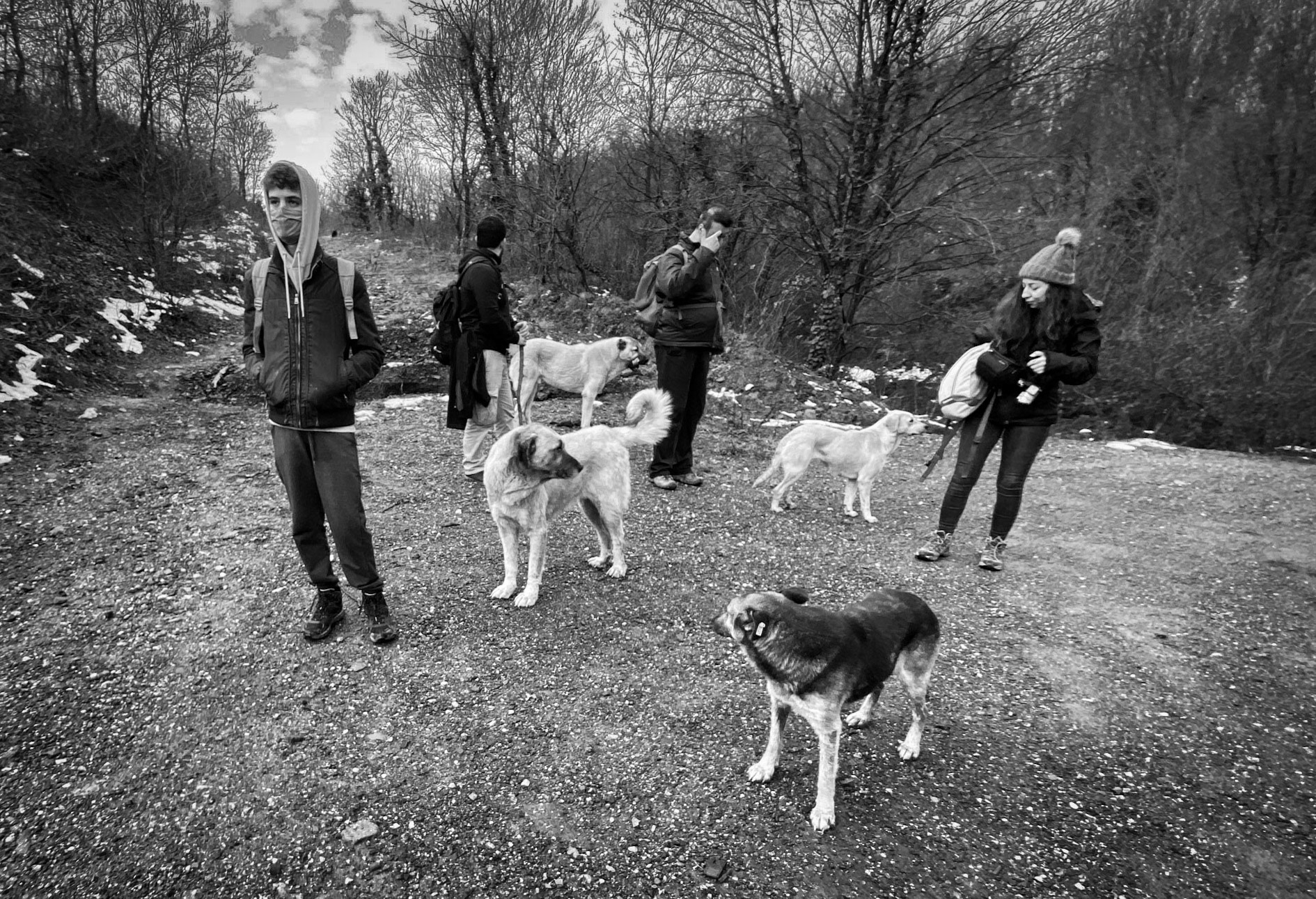 between Cumhuriyet and Polonezköy: not many hikers but many dogs