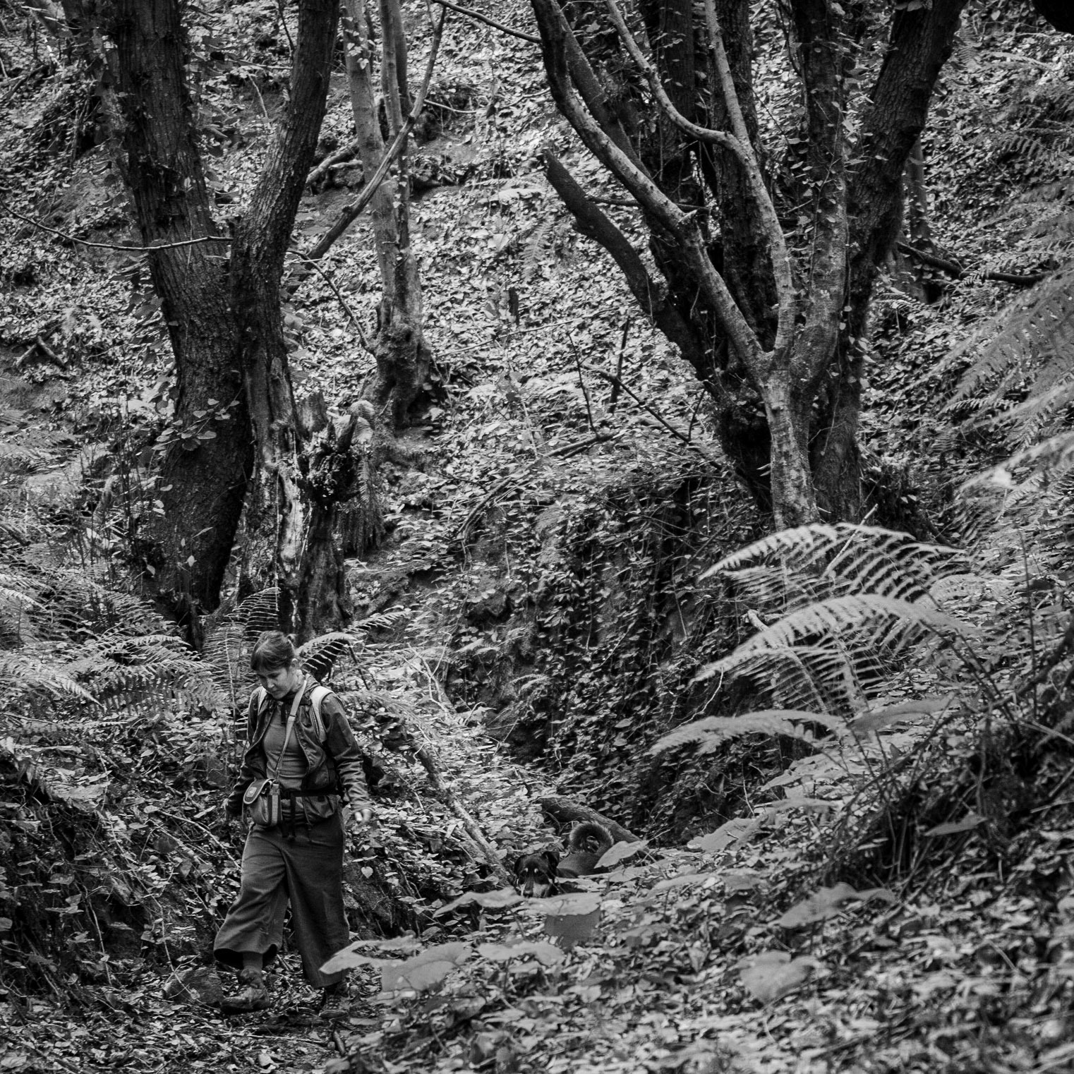 Zerzevat east streamwalk: Tasha, daydog and old trees