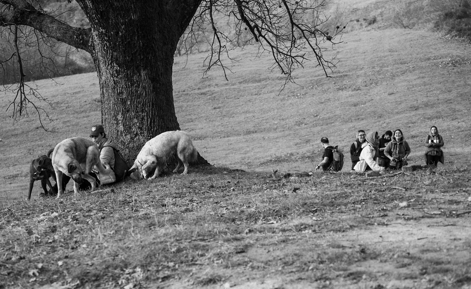 Bozhane S hill: break under the supposed oak