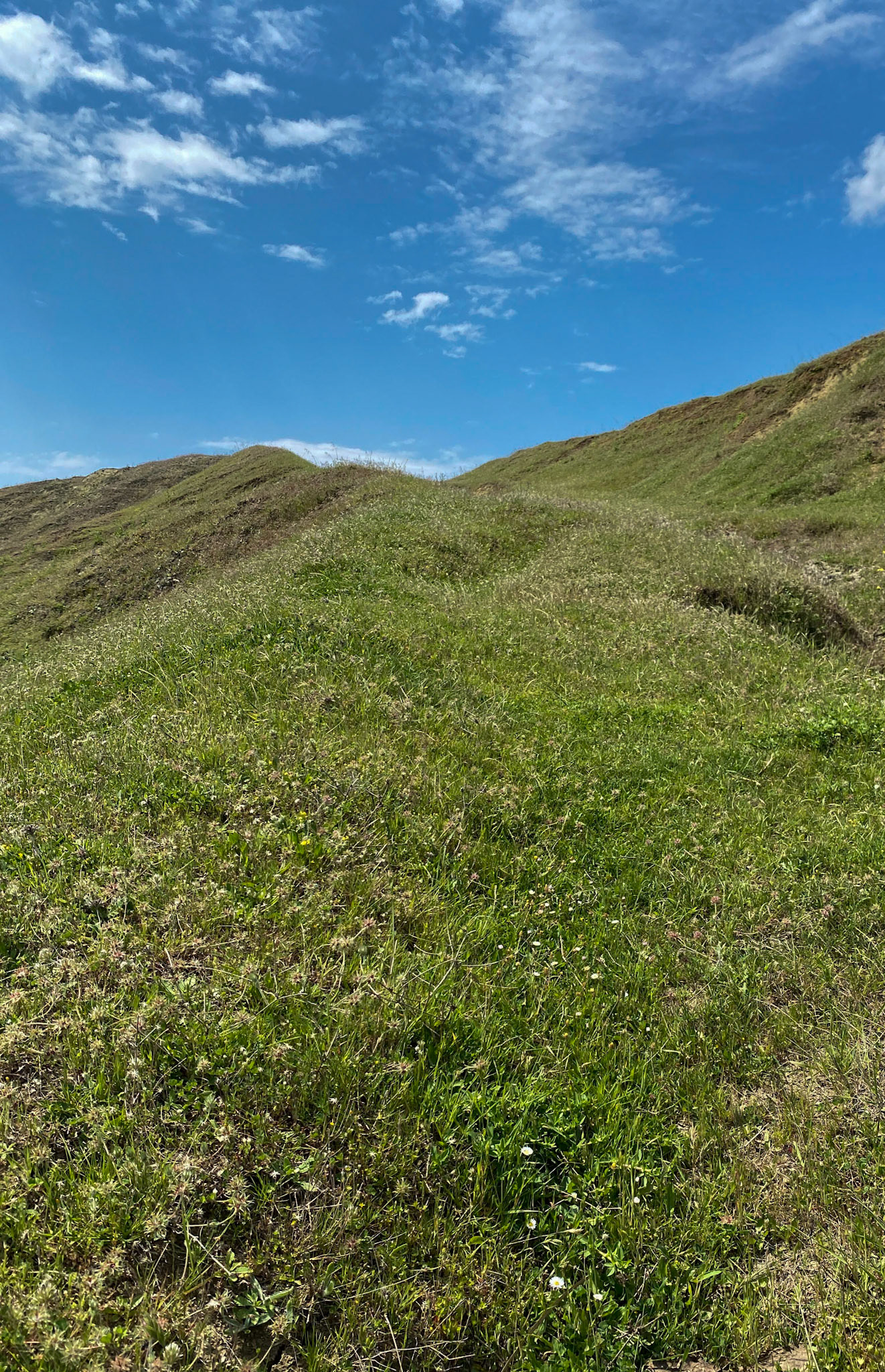 Yeniköy: abandoned mining land