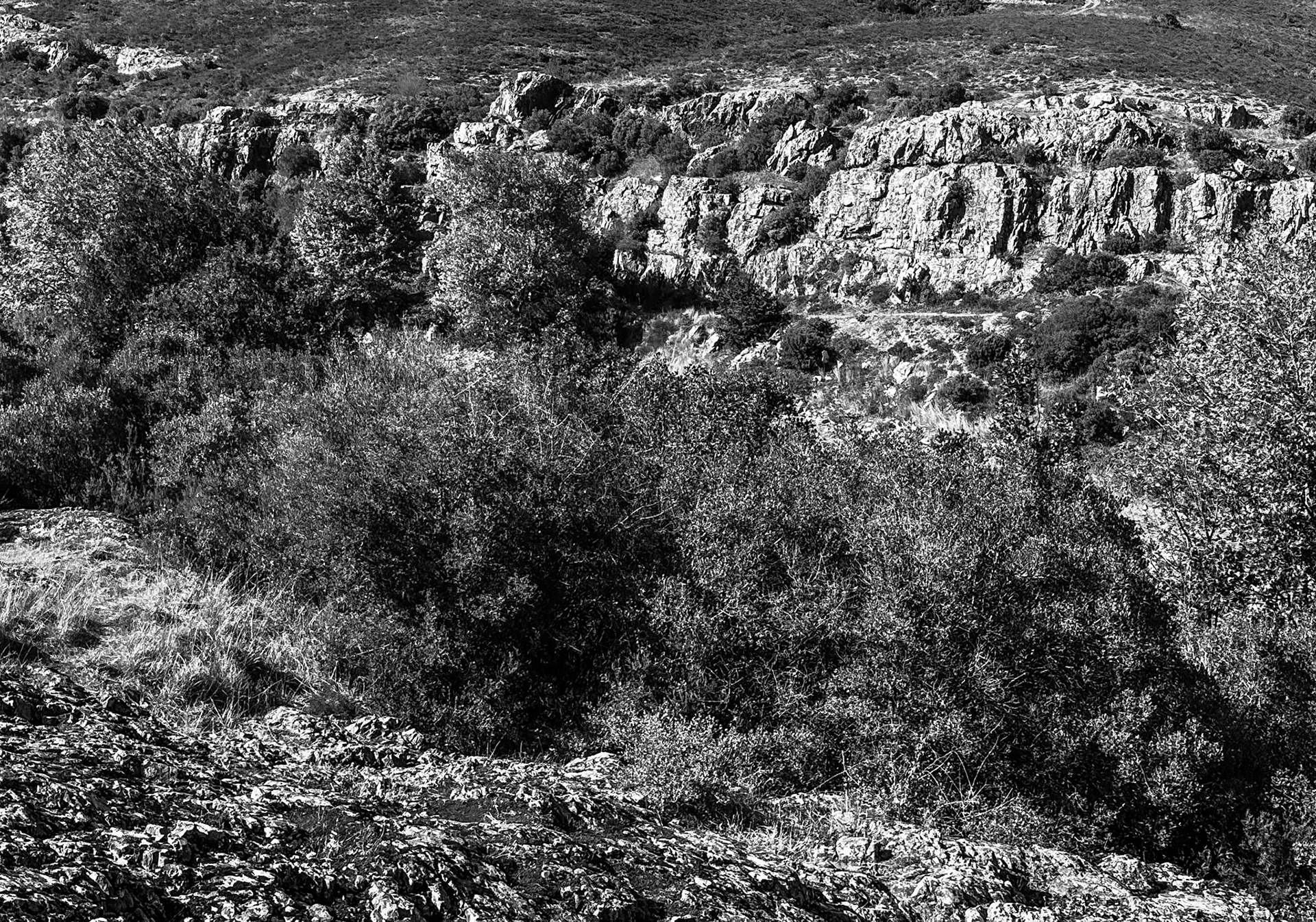 Paşaköy gorge: rock on the northern side