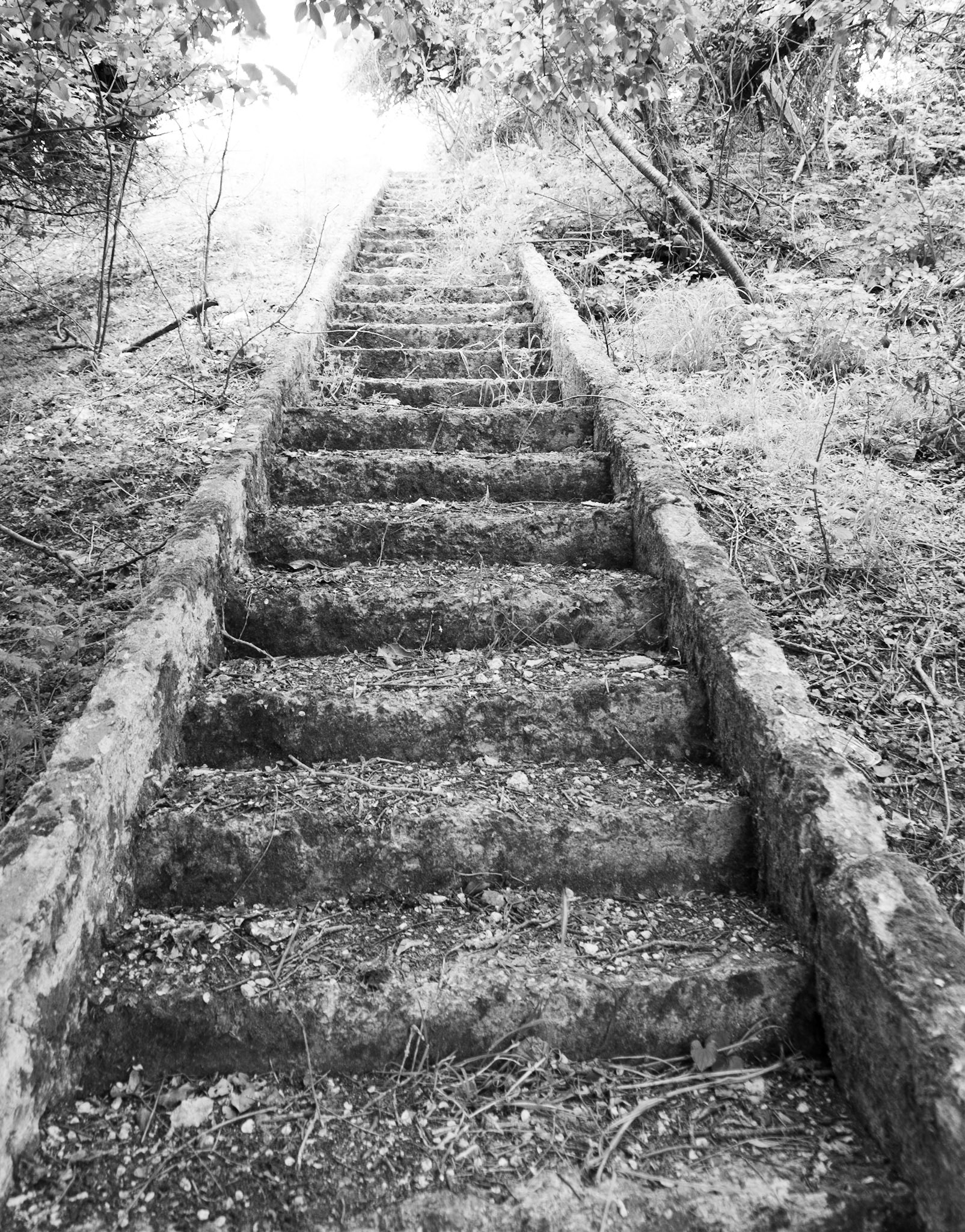 Trikos promontory: the stairway to heaven
