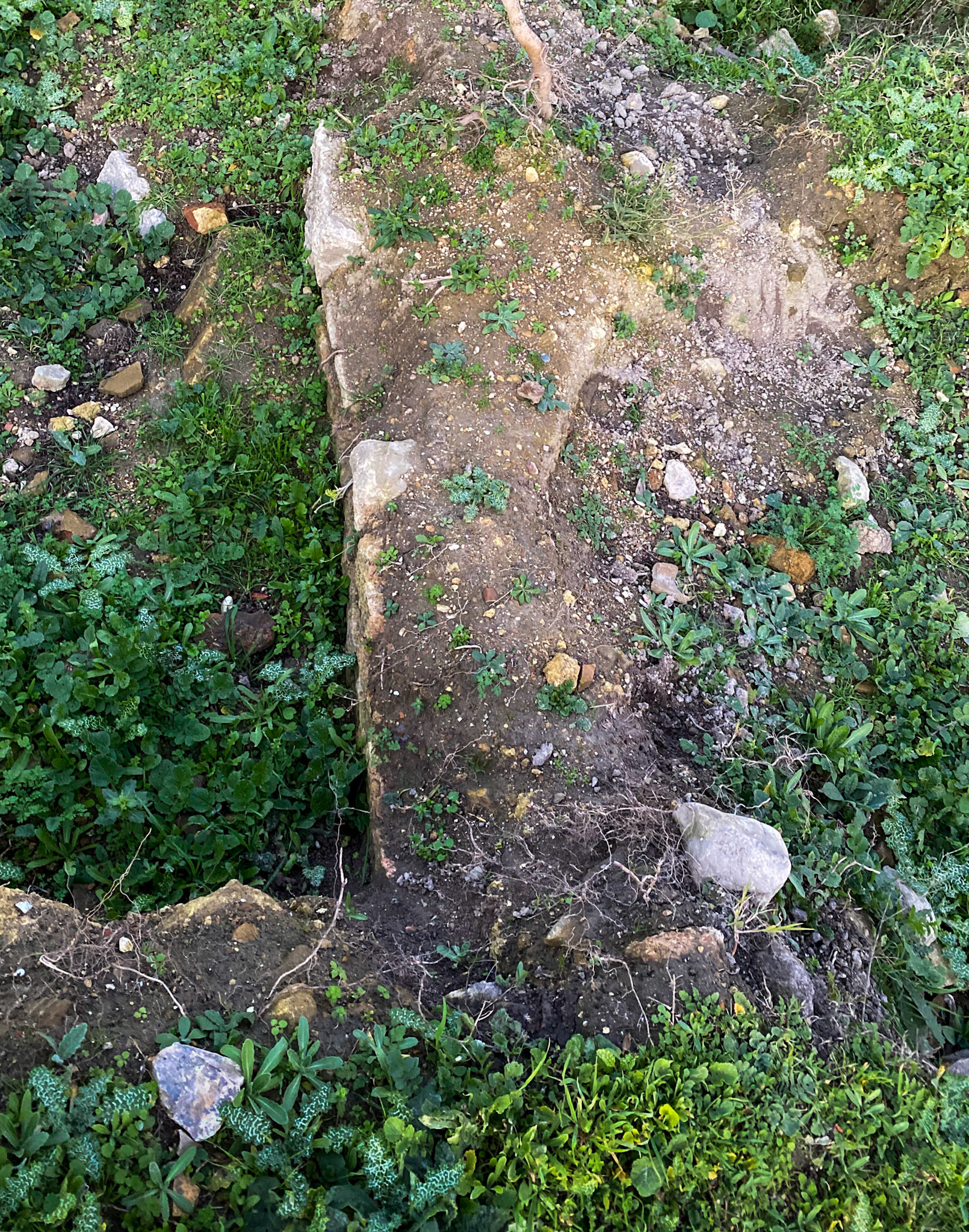 Melentiade: a treasure hunters' digging (I suppose)