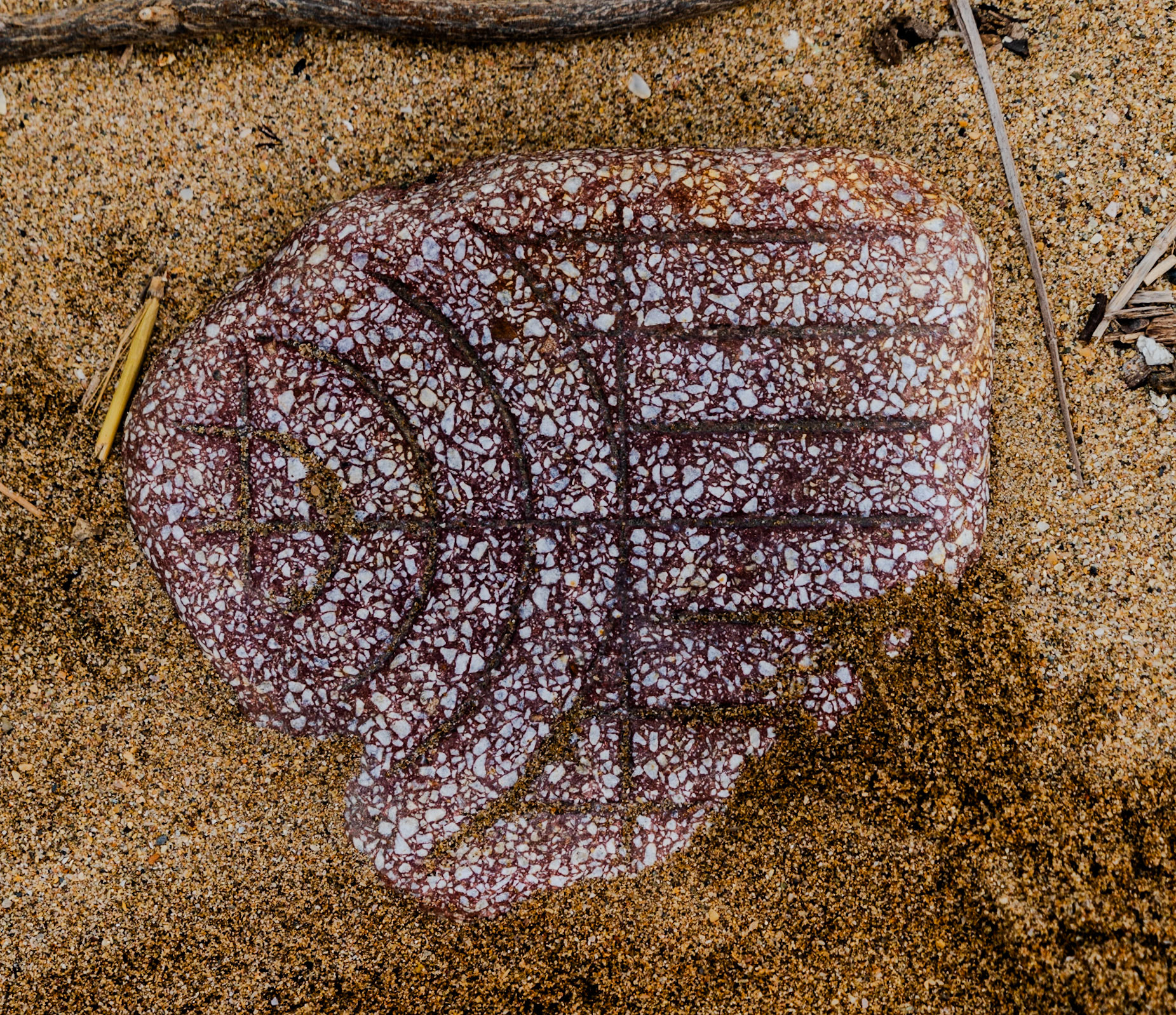 between Yeniköy and Karaburun beach: construction debris mixes with natural stones and rocks on Istanbul's beaches; the motif here seems symbolic, as if from a house of worship