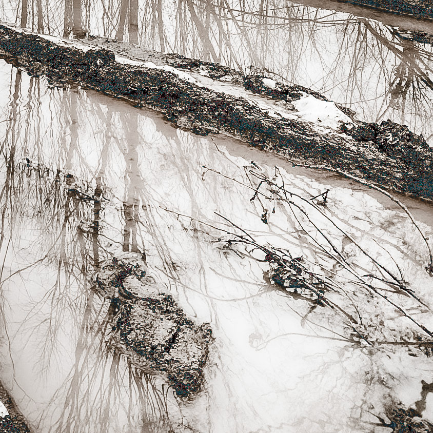 Kaynarca forest: water, snow and mud