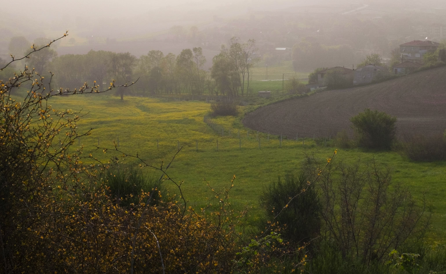 between Boyalık and Baklalı: lovely rolling pasture