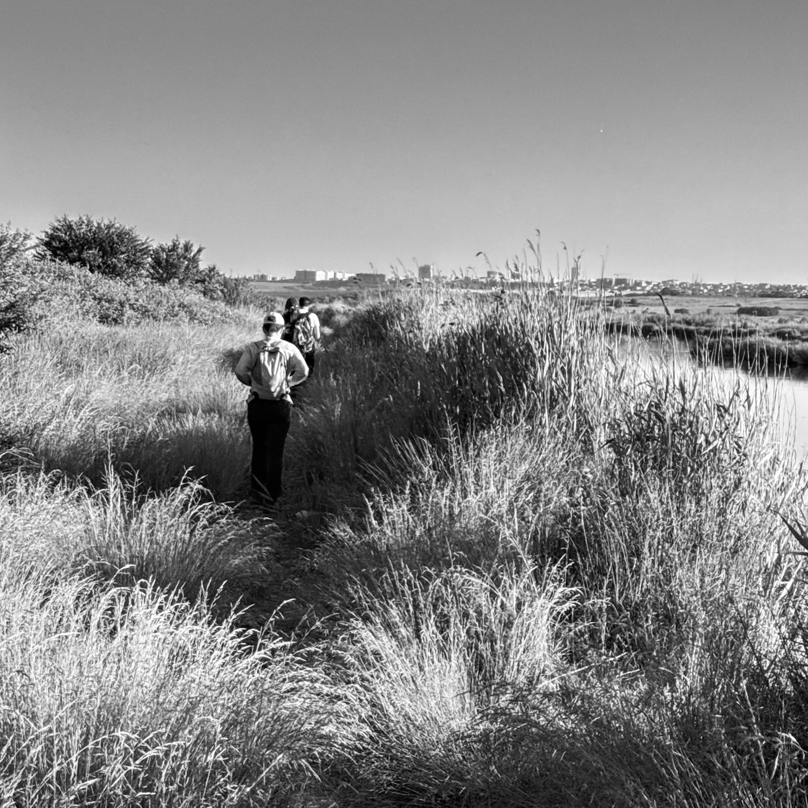Küçükçekmece NE marsh: heading south