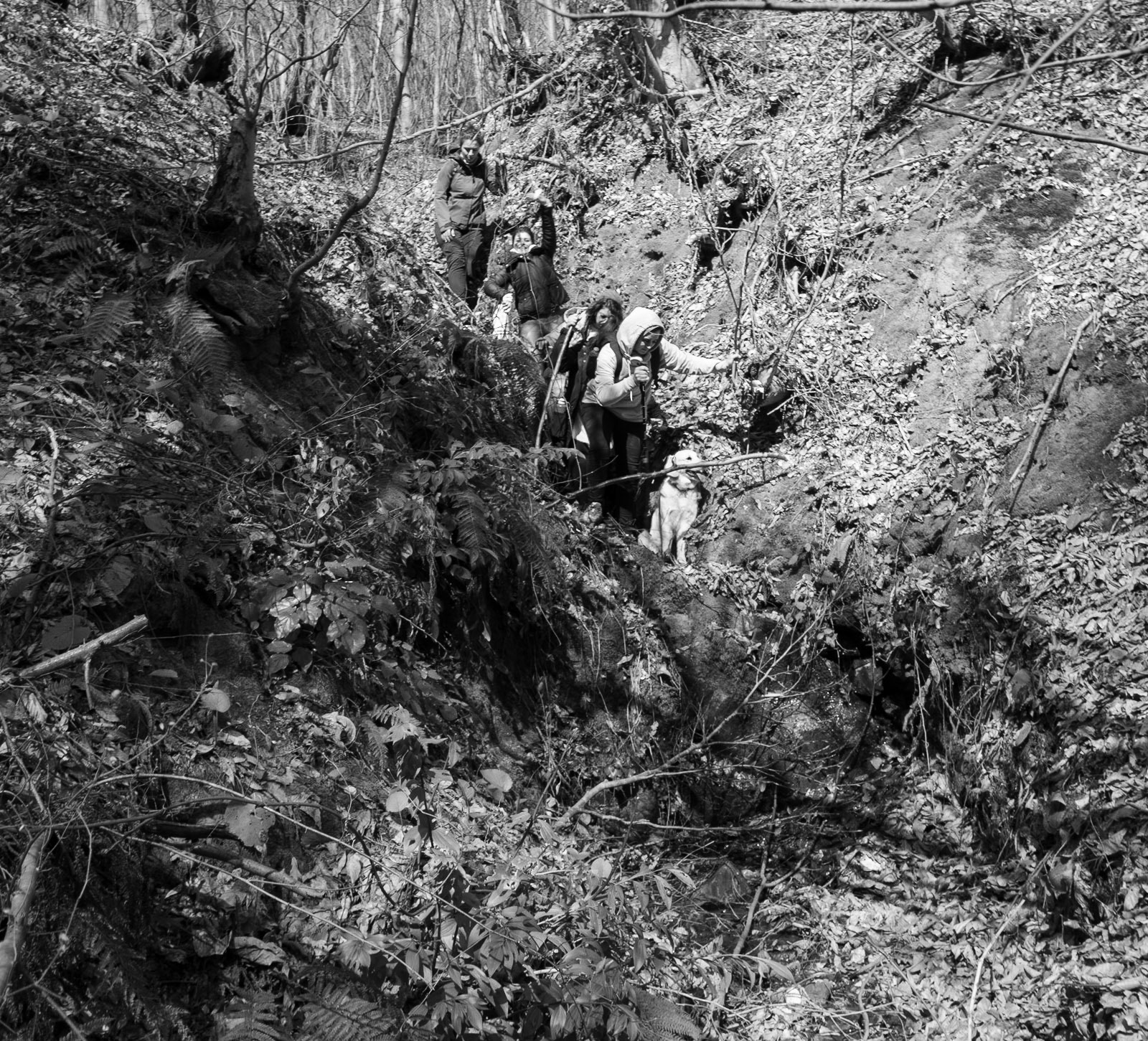 Zerzevat stream valley: descending down the little V-shaped valley