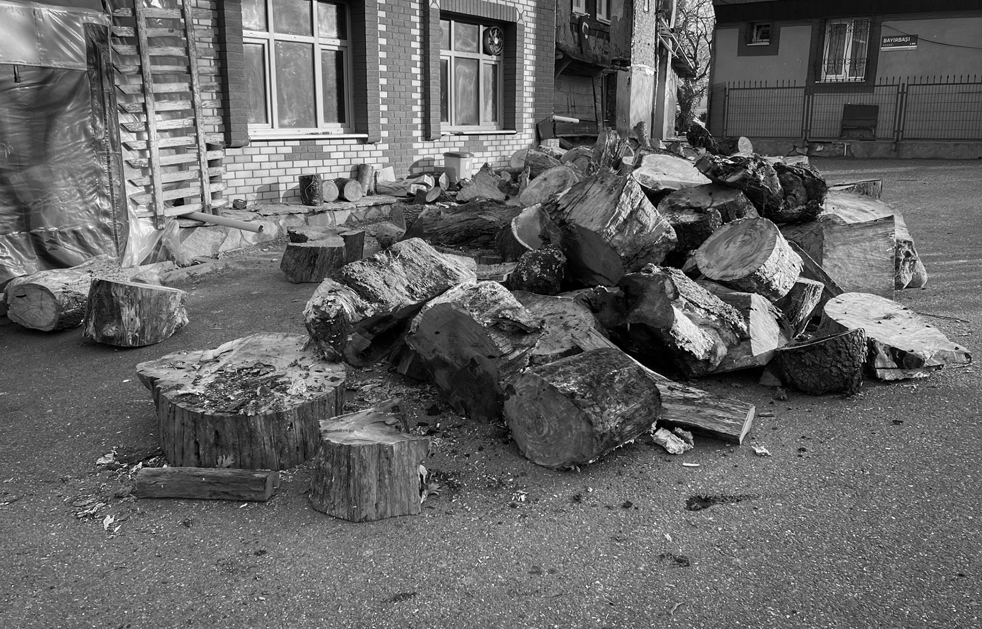 Bozhane: logs