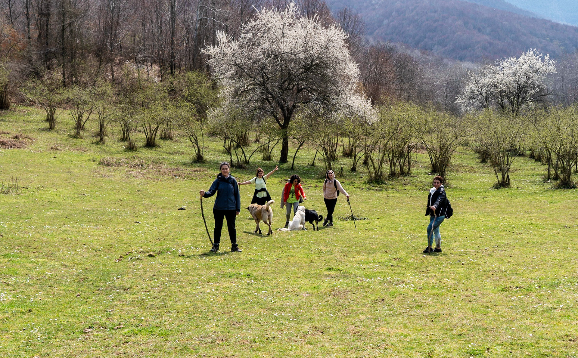 Mahmut Şevket Paşa's hills: the pasture dog, Lucia, Smokie and us