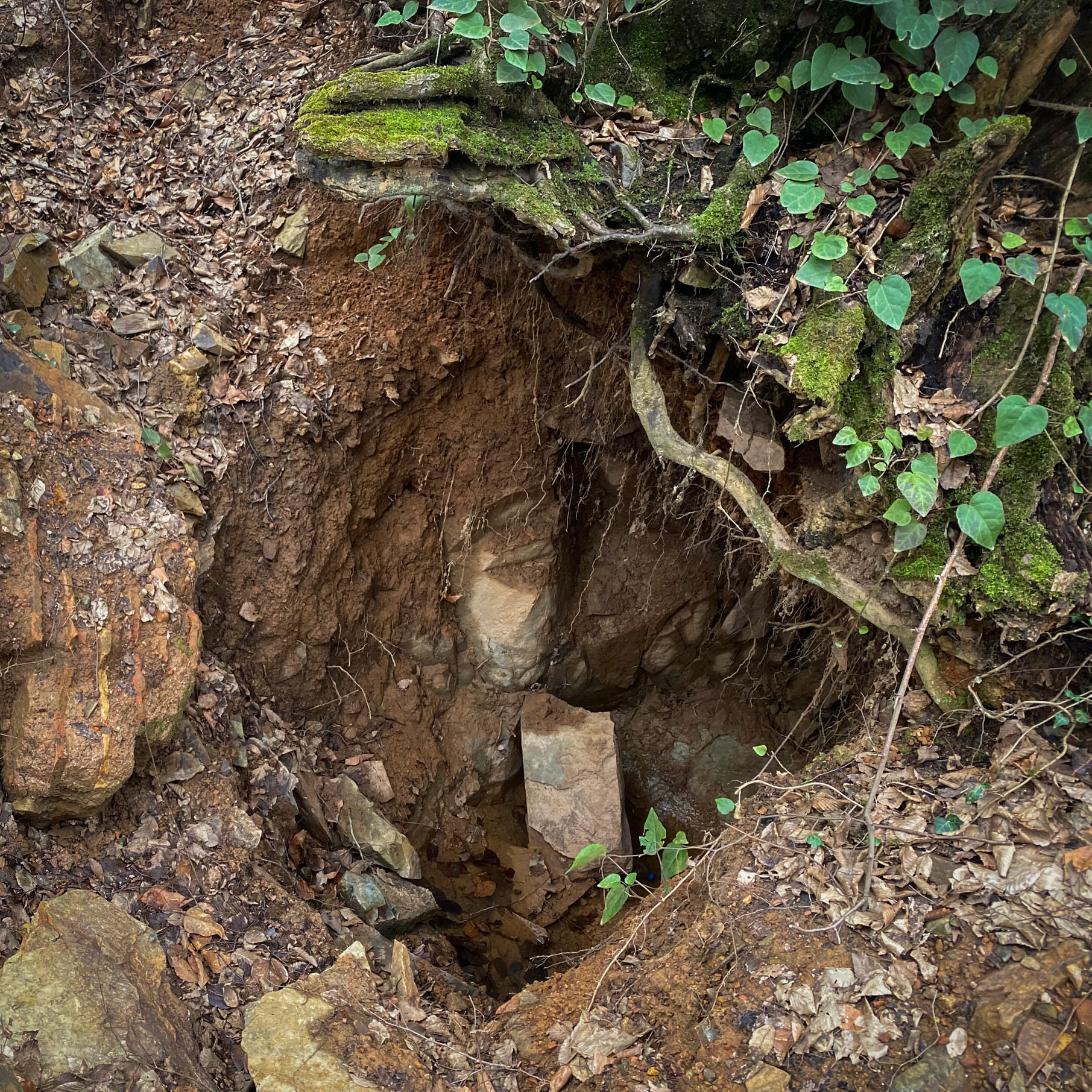 Alemdaǧ forest: treasure-hunters' pit