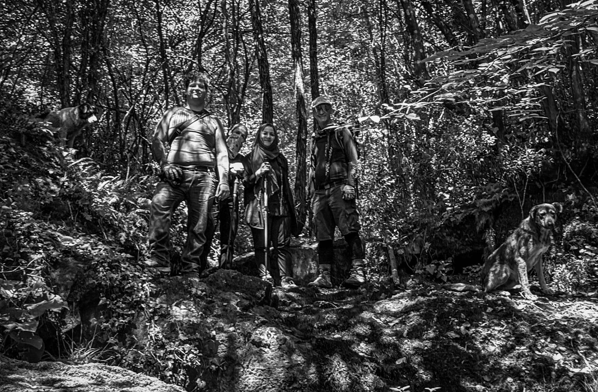 Kılıçlı southeastern stream walk: hickers and daydogs