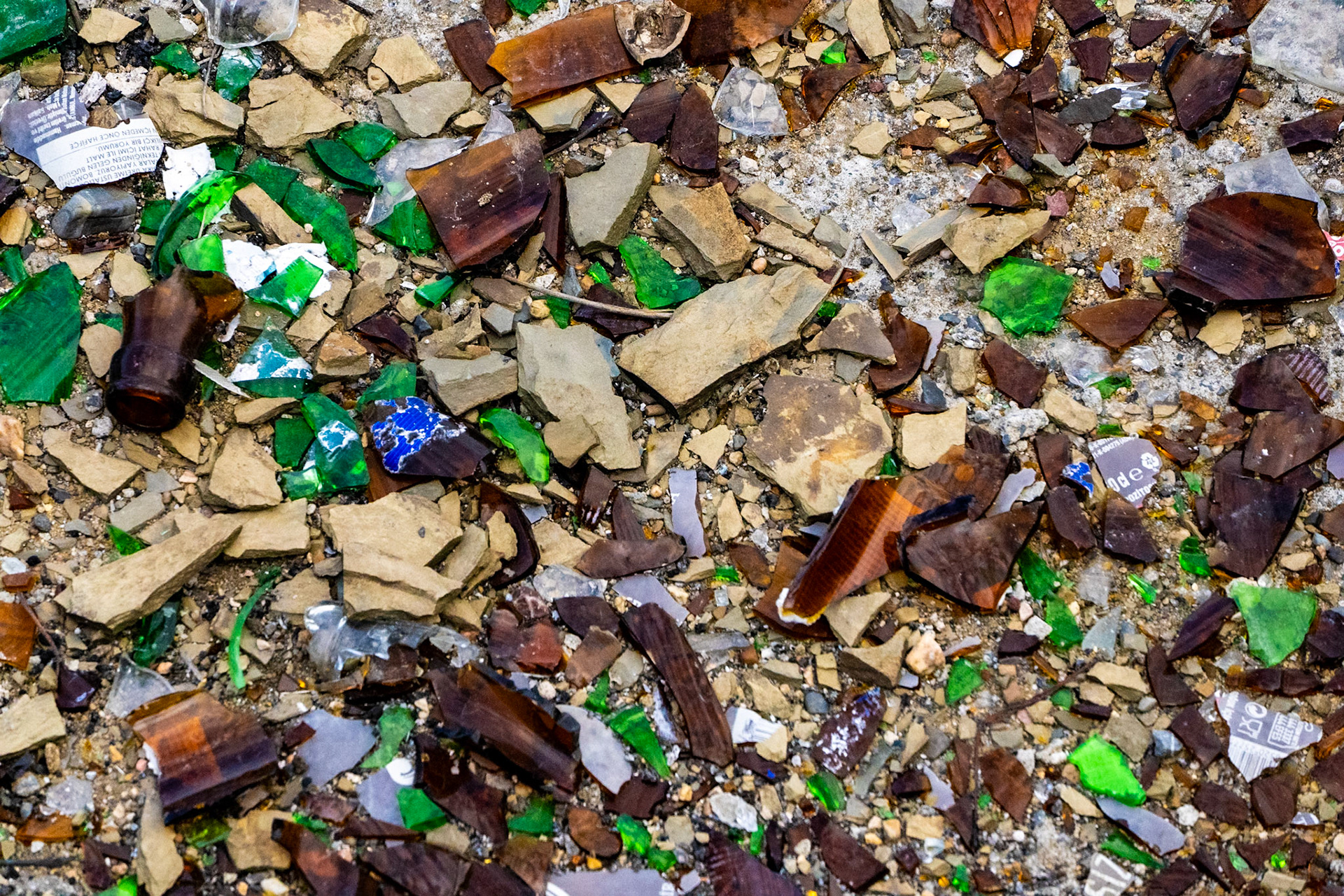 speculators’ crest: afterparty