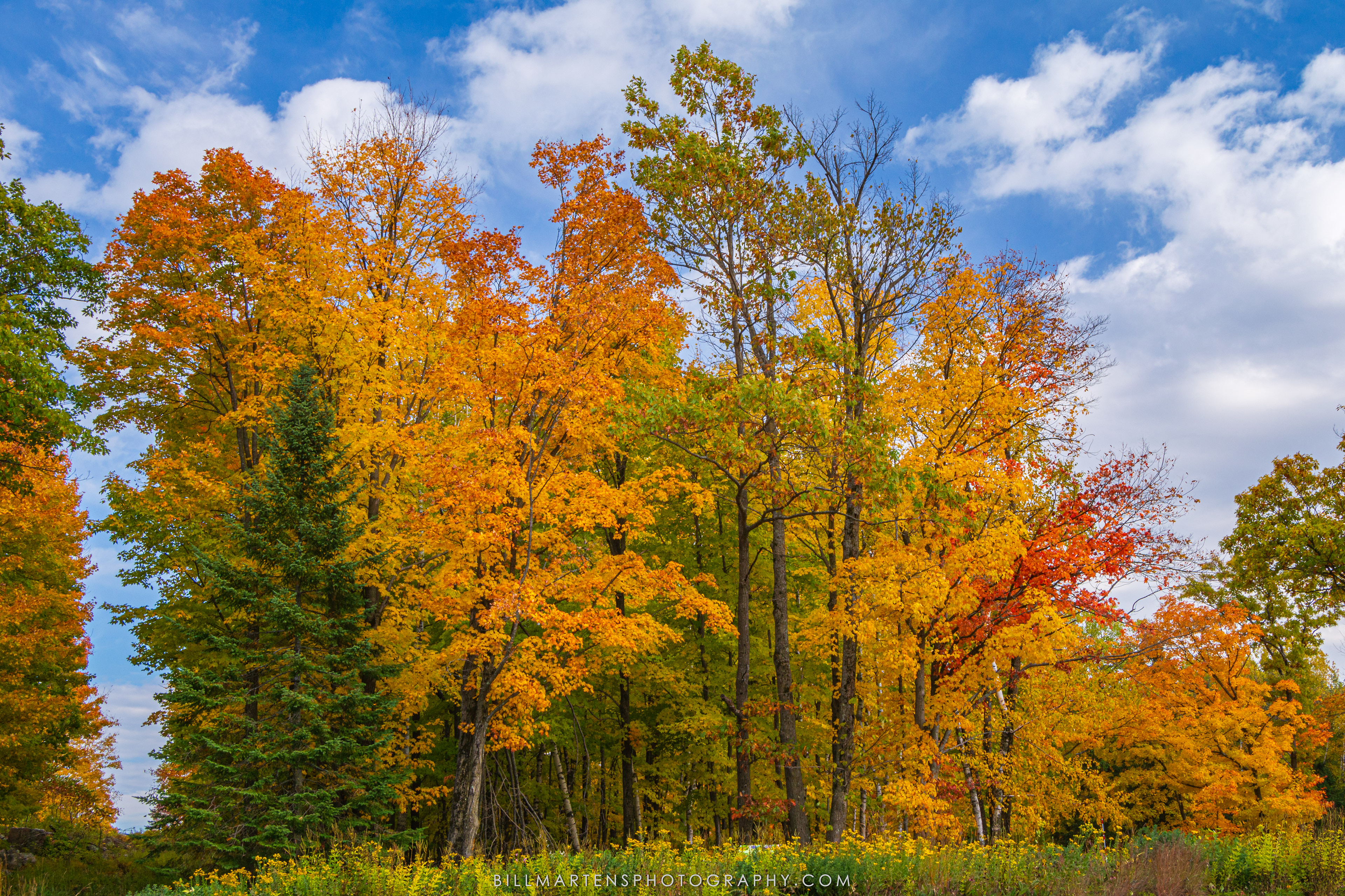 Rib Mountain State Park - October 2020