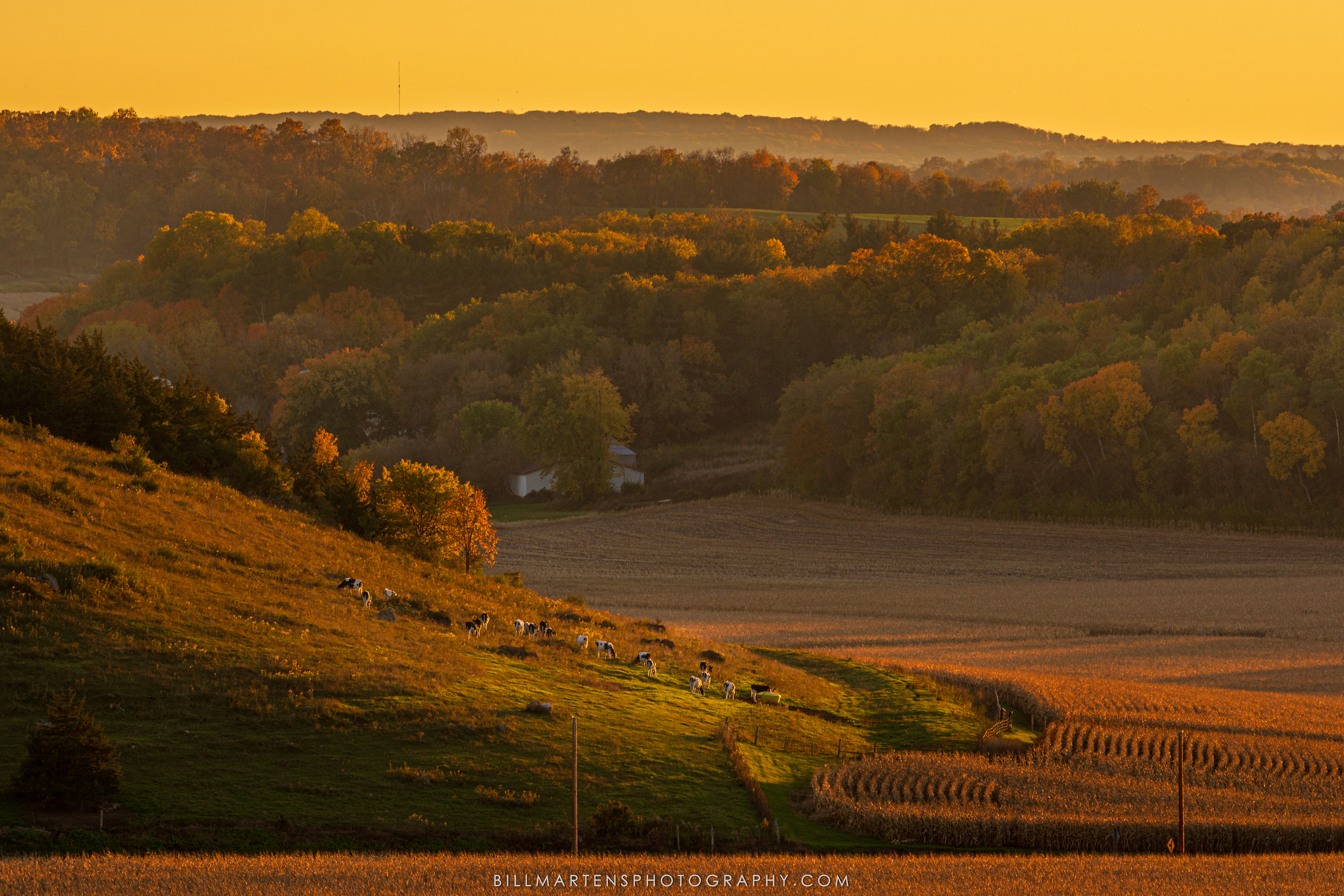 Cross Plains, Wisconsin - October 2023