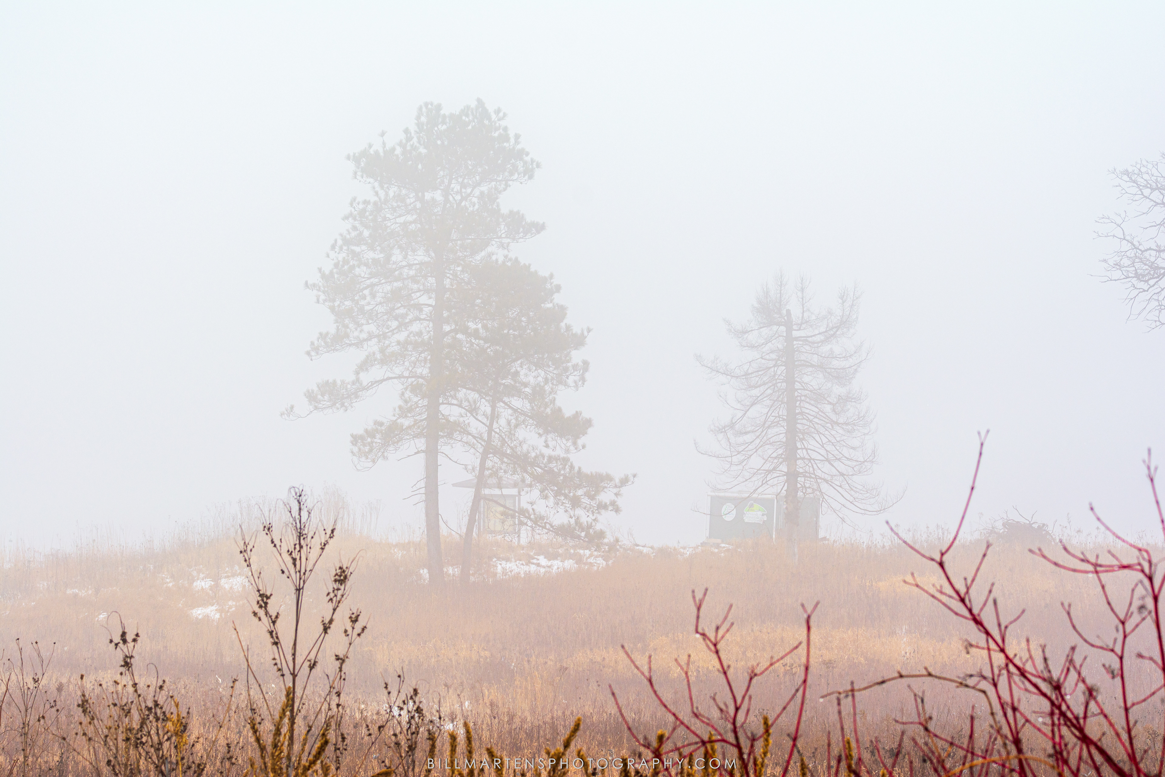 Pheasant Branch Conservancy, Middleton, Wisconsin - December 2024