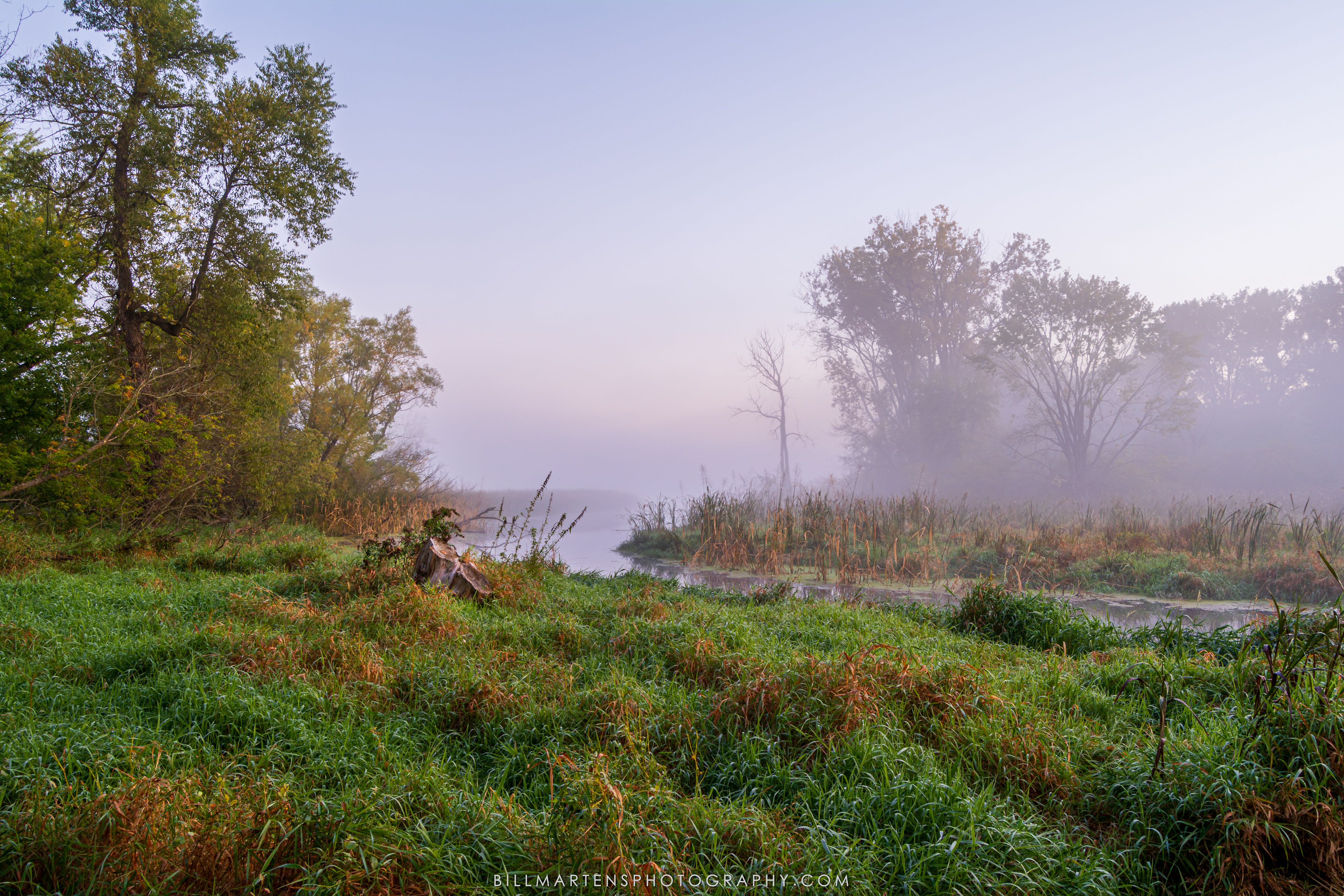 Pheasant Branch Conservancy, Middleton, Wisconsin - September 2022