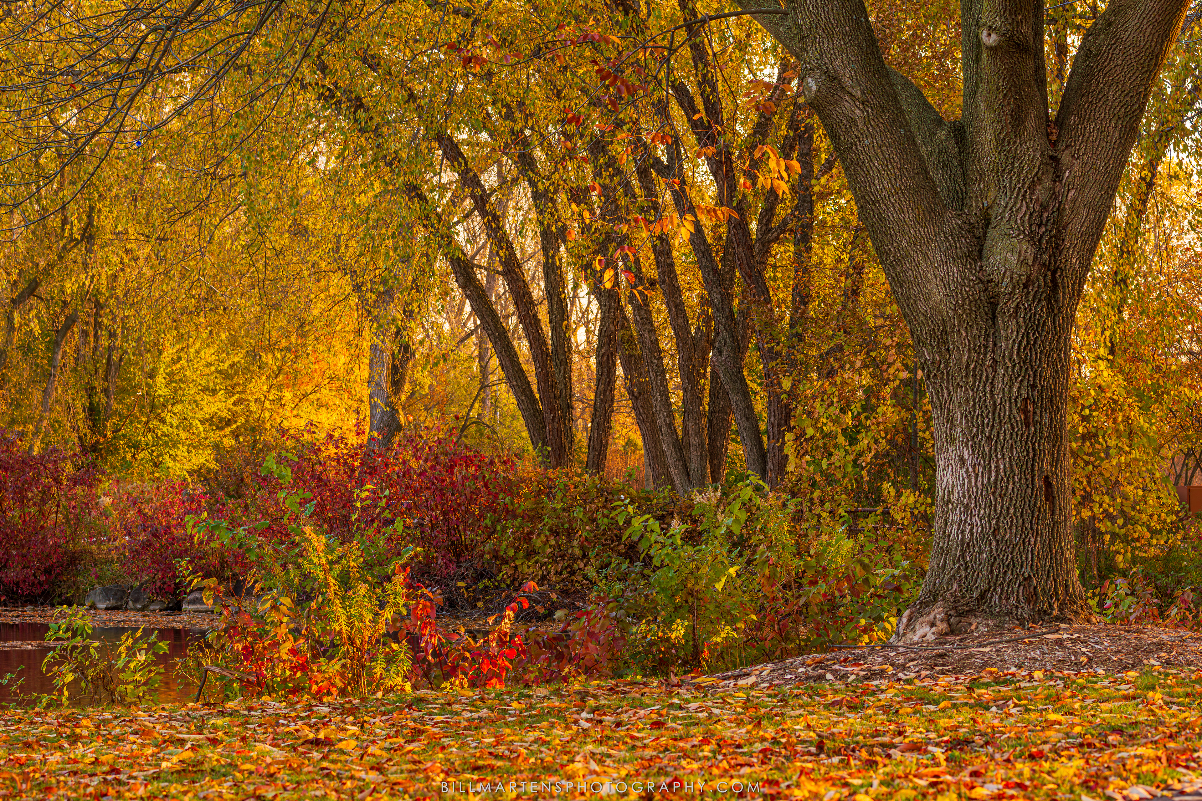 Middleton, Wisconsin - October 2025