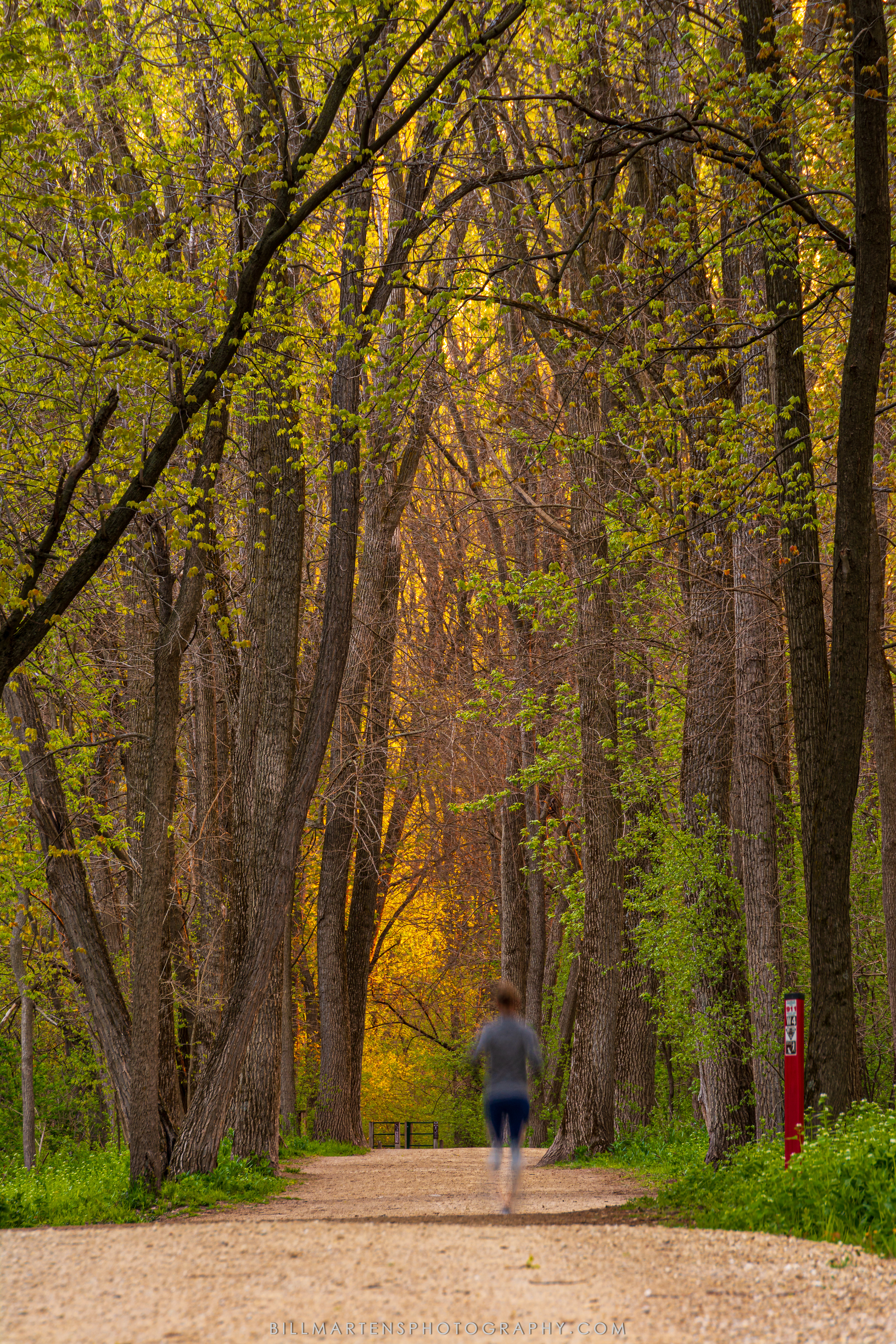 Pheasant Branch Conservancy, Middleton, Wisconsin - May 2020